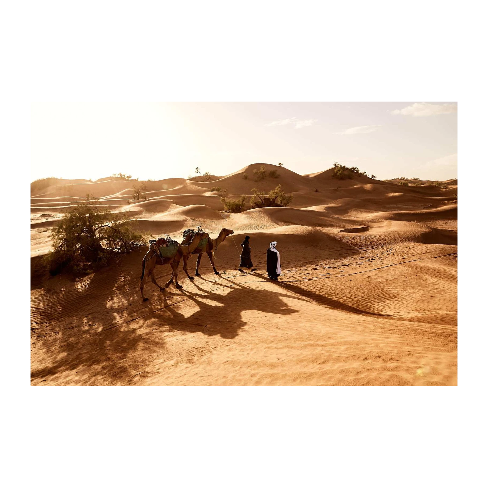 Desert Caravan Journey Wall Art