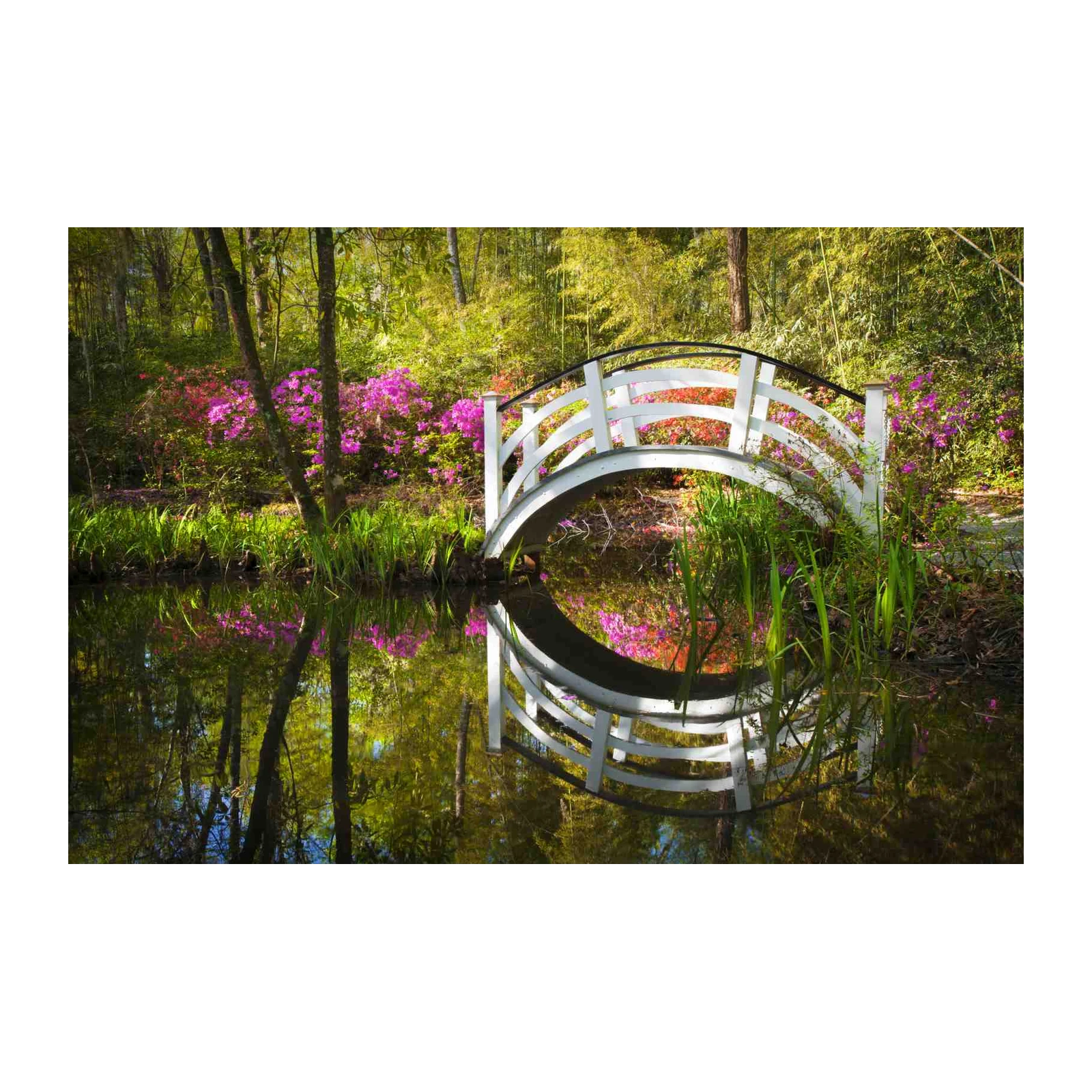 Serene Garden Bridge Azalea Pond Wall Art