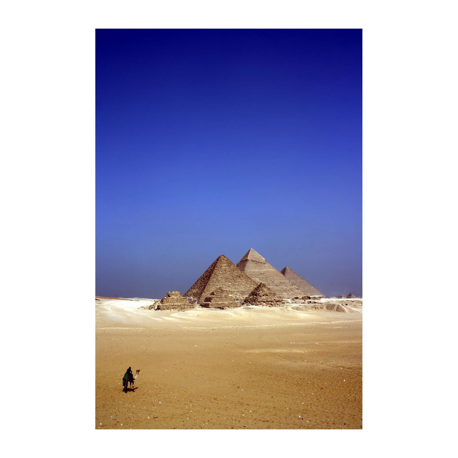 Majestic Pyramids & Camel Desert Scene Wall Art