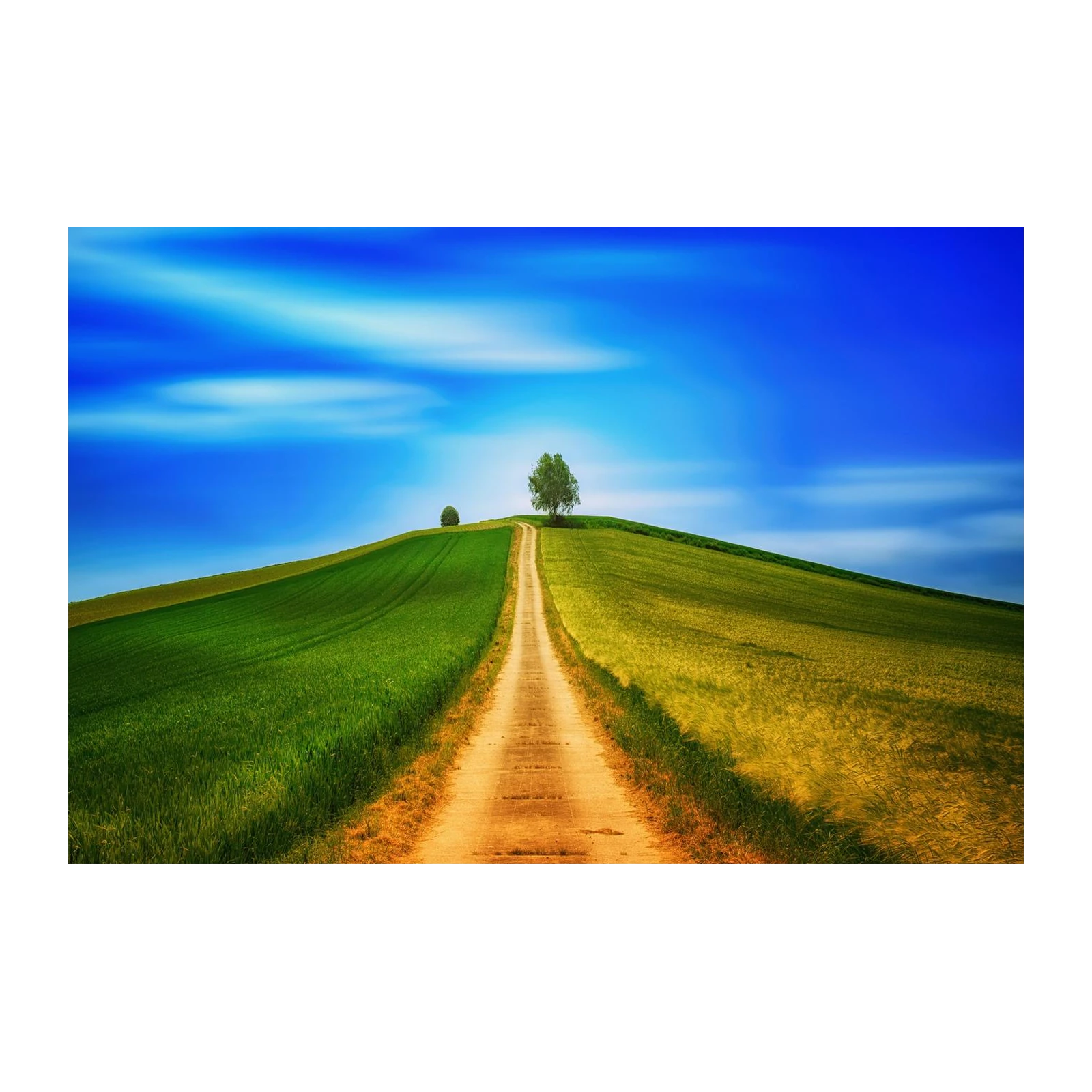 Serene Hilltop Path Landscape Wall Art