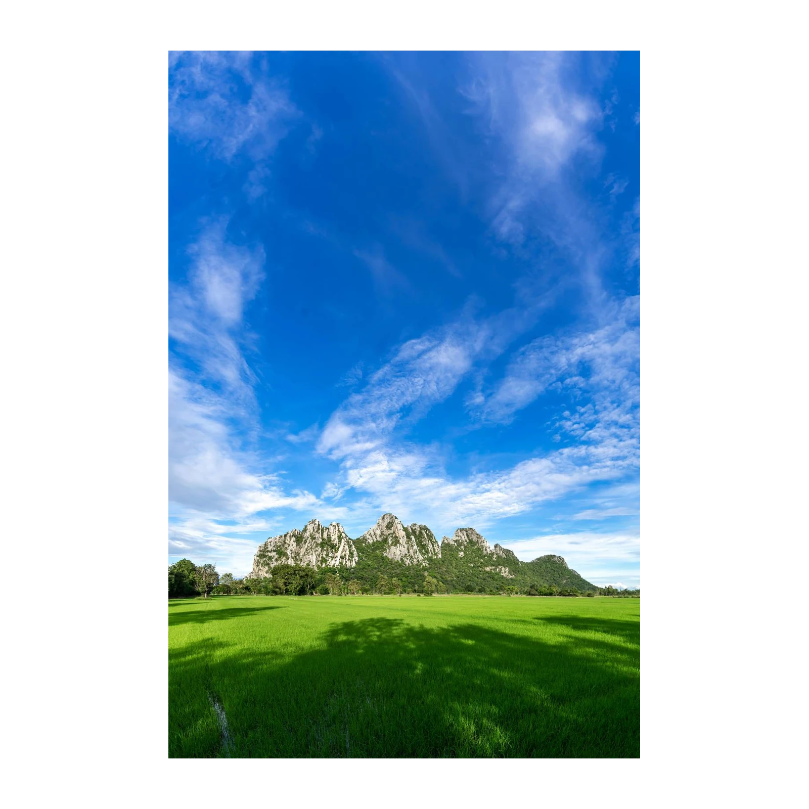 Serene Mountain Rice Field Wall Art
