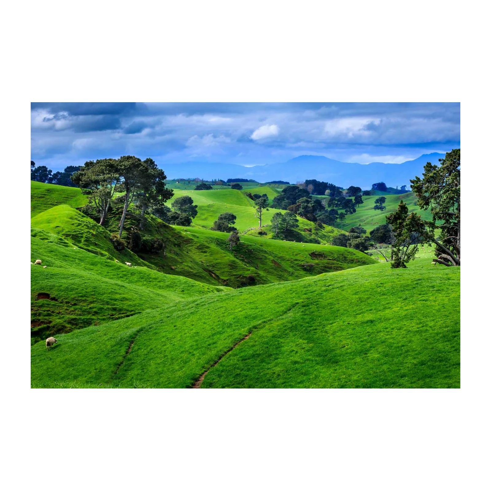 Lush Rolling Hills Sheep Wall Art
