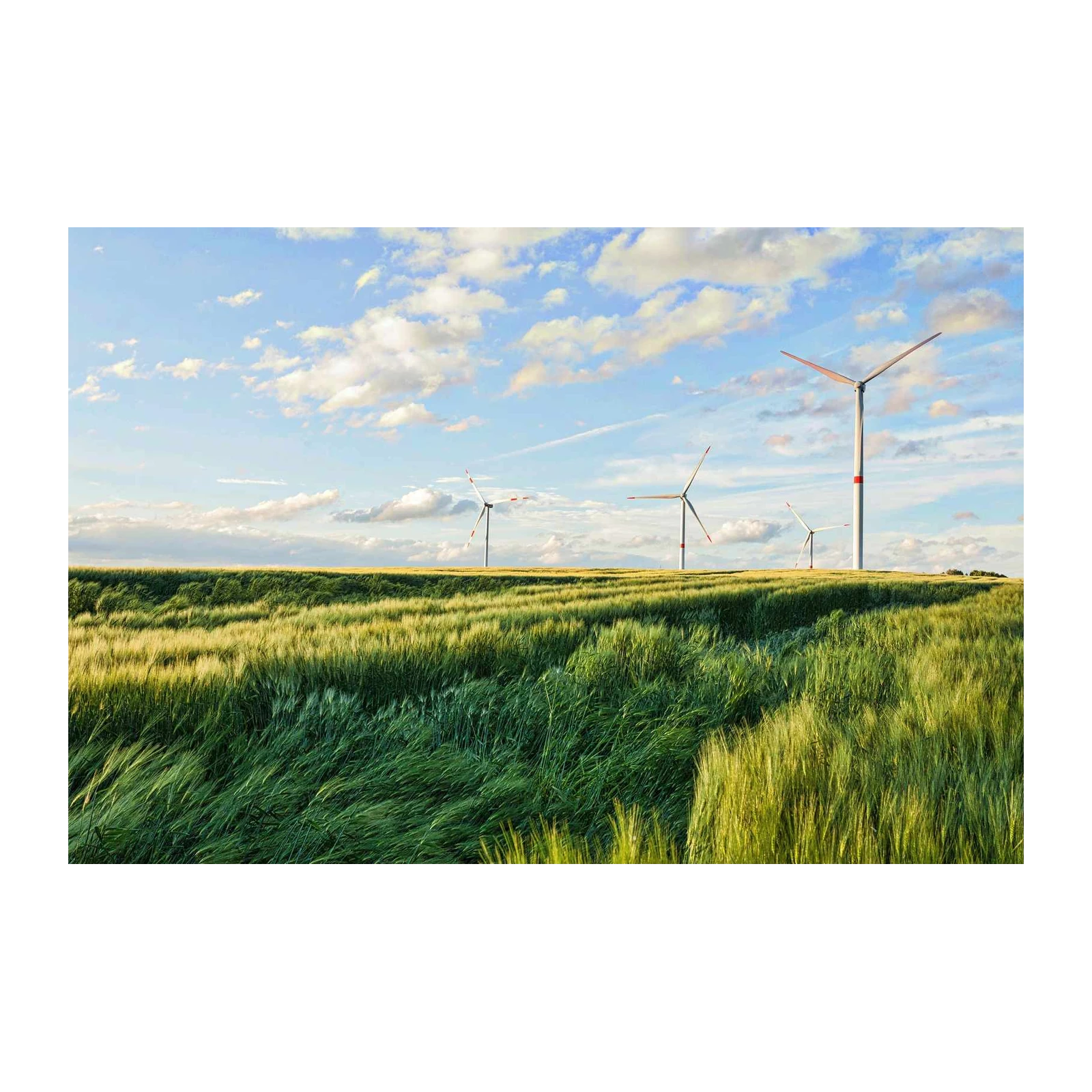 Serene Windmills Landscape Wall Art