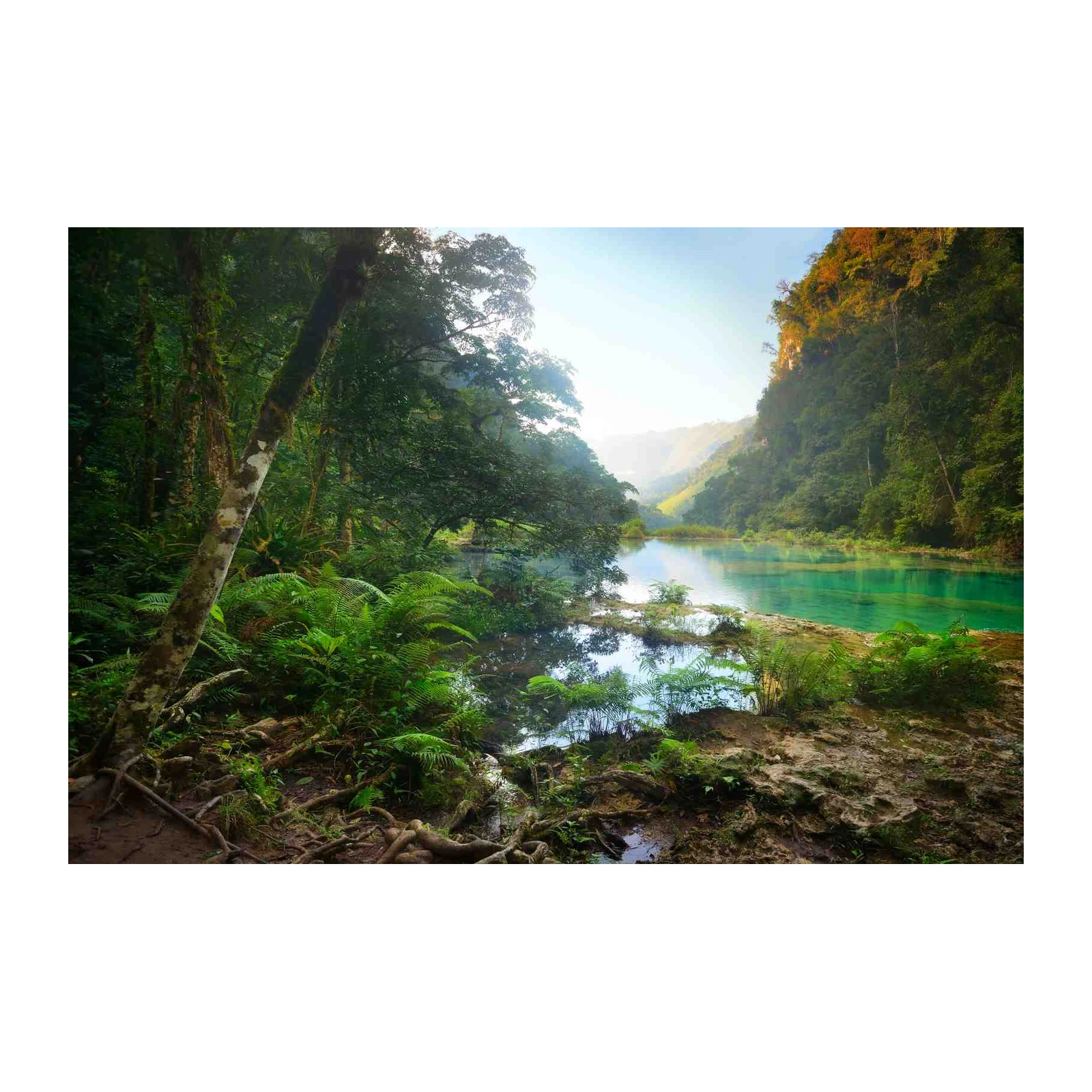 Tranquil Emerald River Forest Wall Art