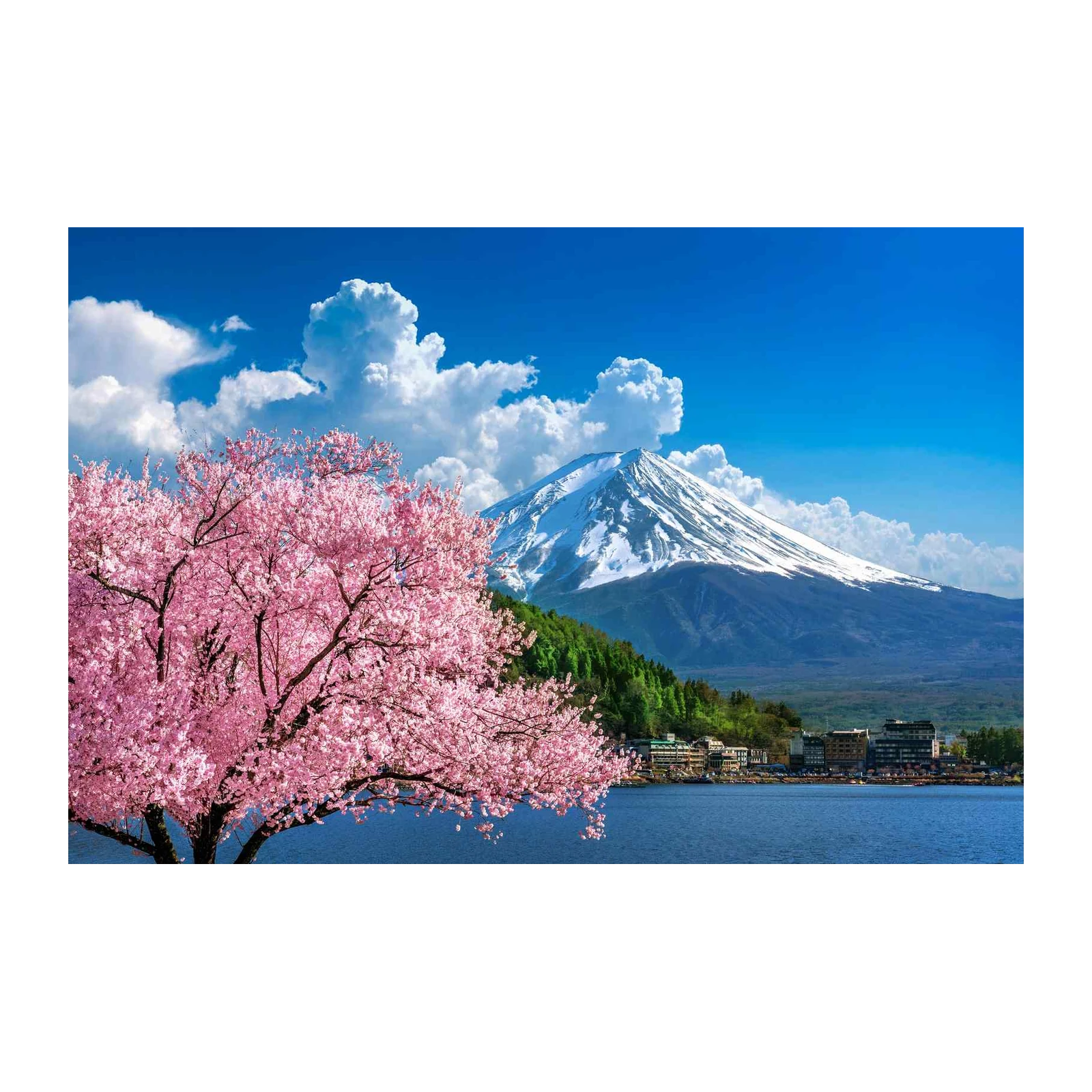 Sakura & Mt. Fuji Scenic Wall Art