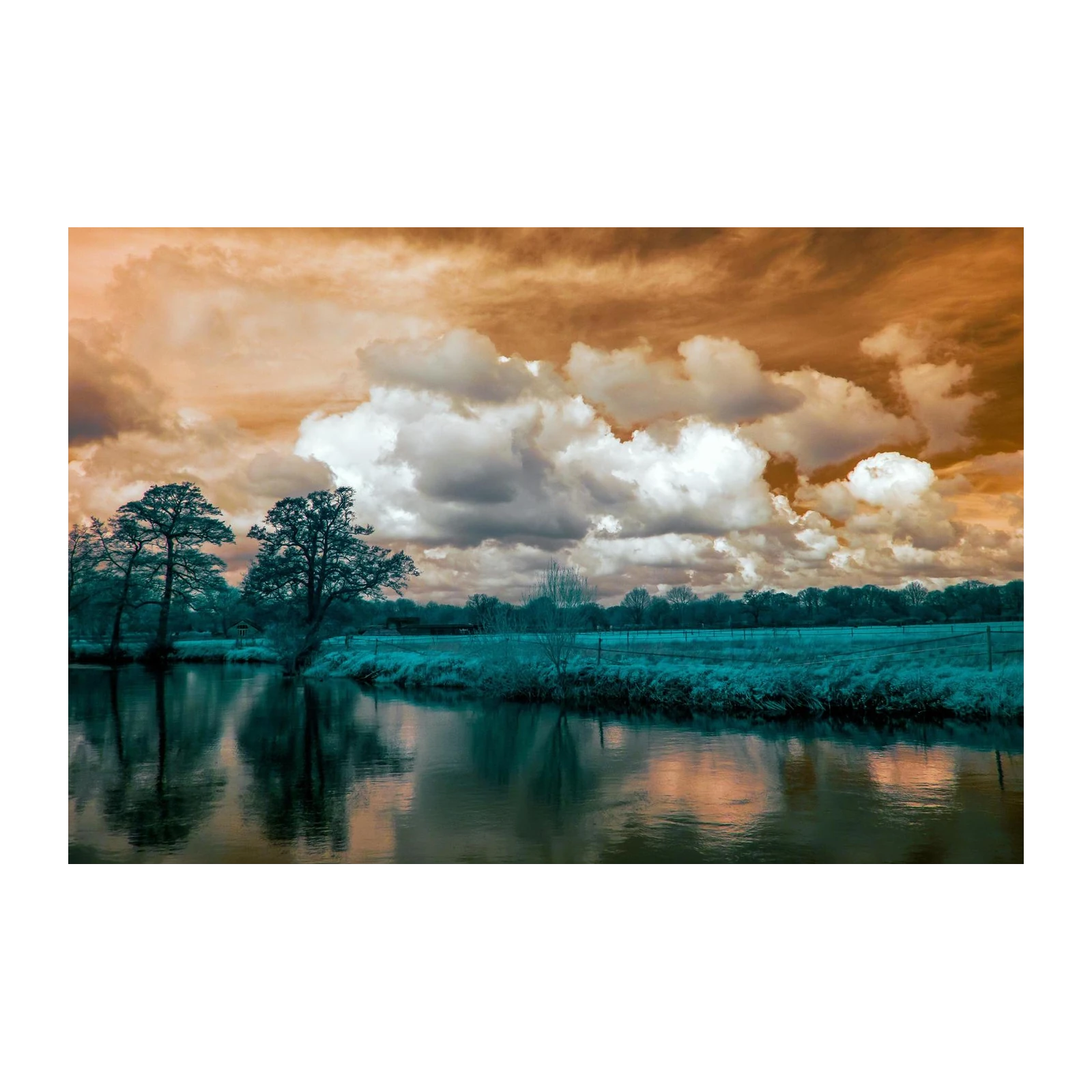Serene Landscape Trees & River Wall Art