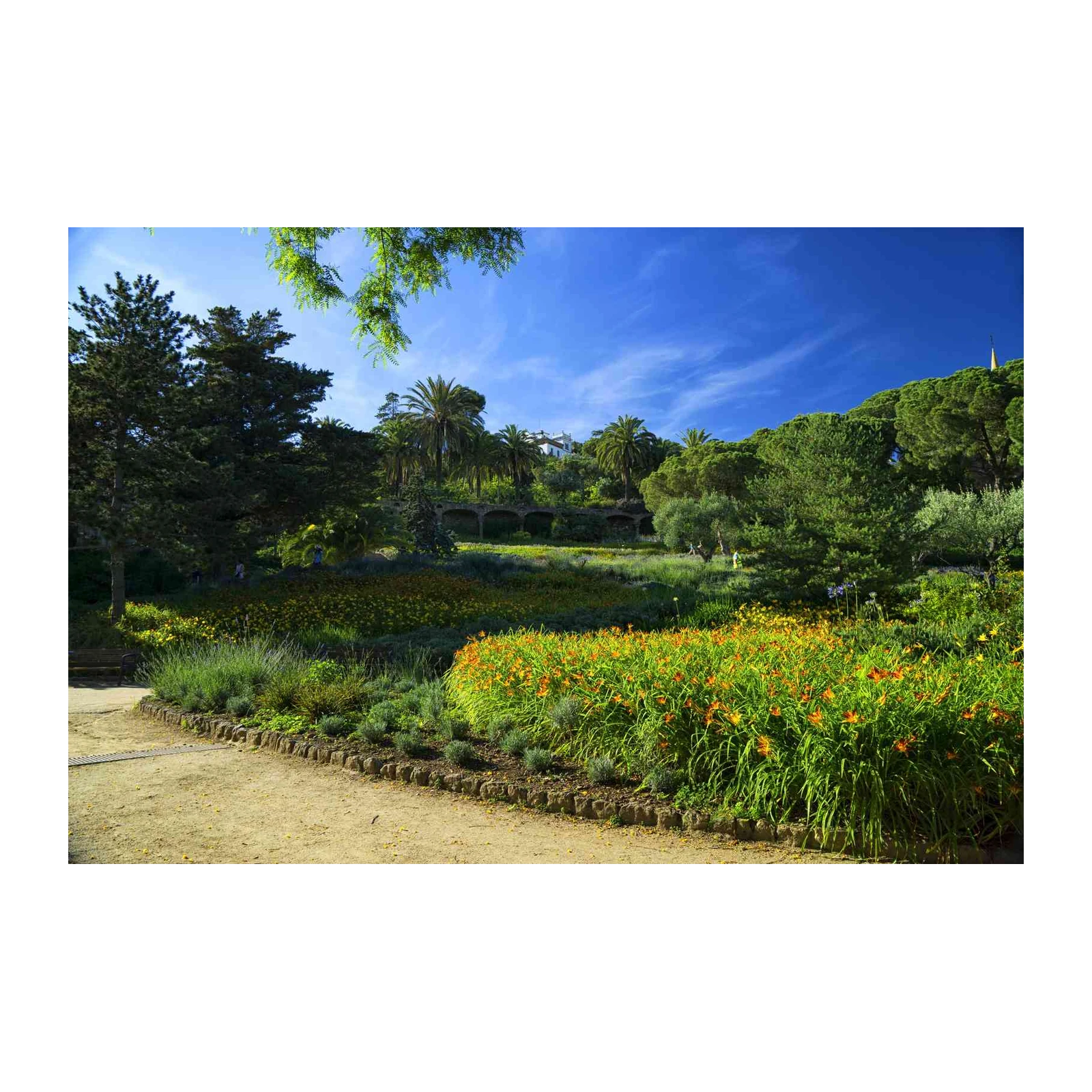 Vibrant Garden Landscape Wall Art