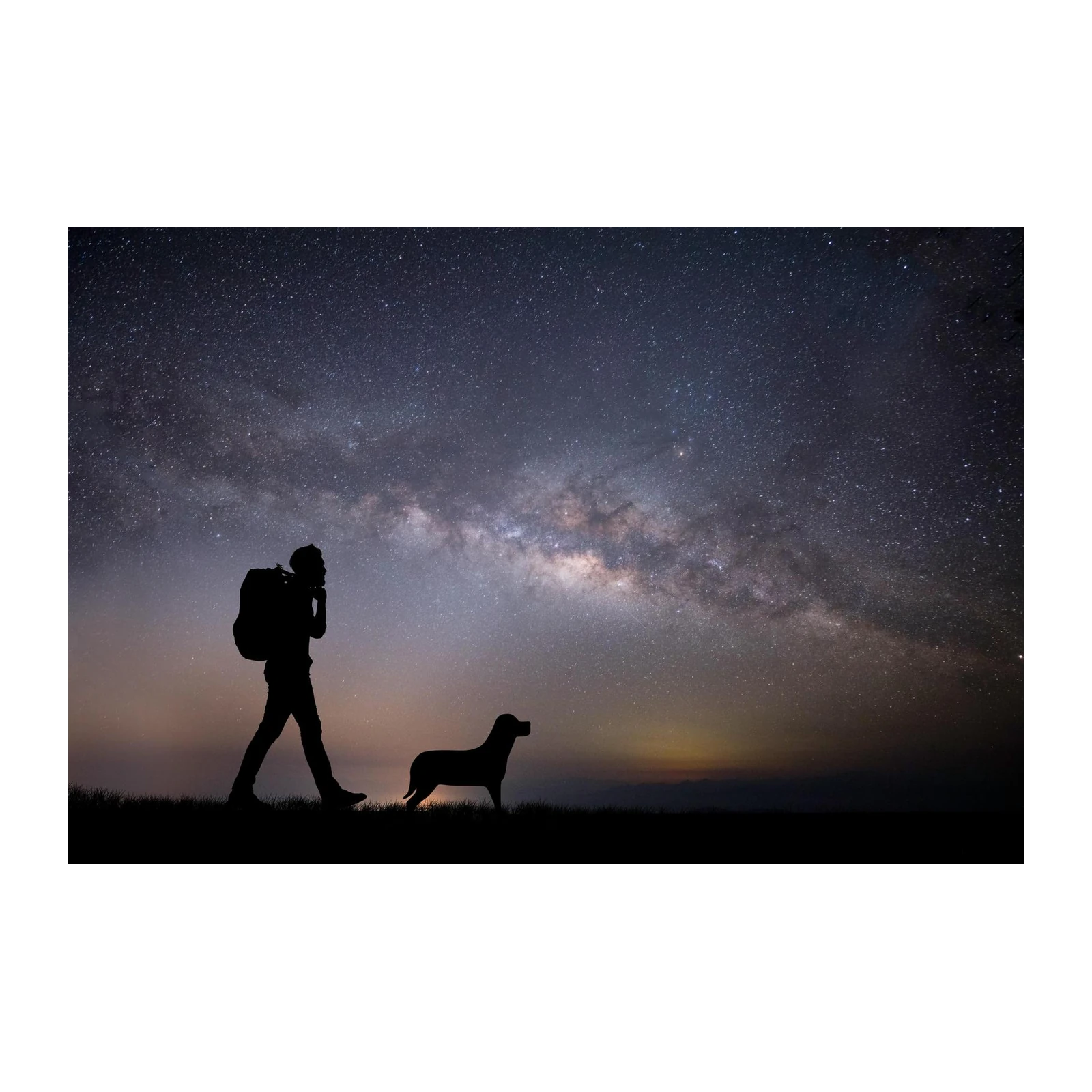 Man & Dog Under Milky Way Wall Art