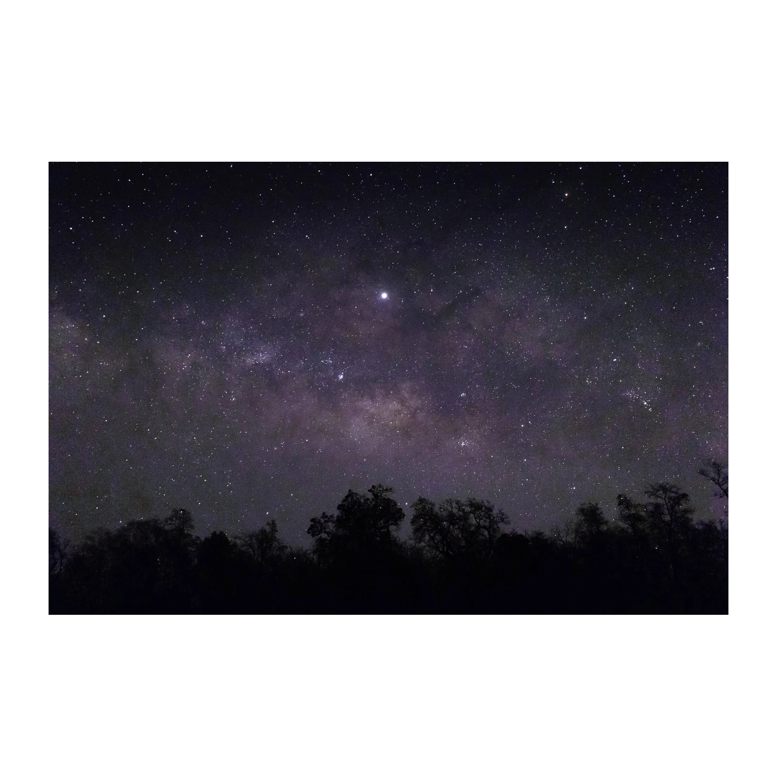 Milky Way Night Sky Over Trees Wall Art