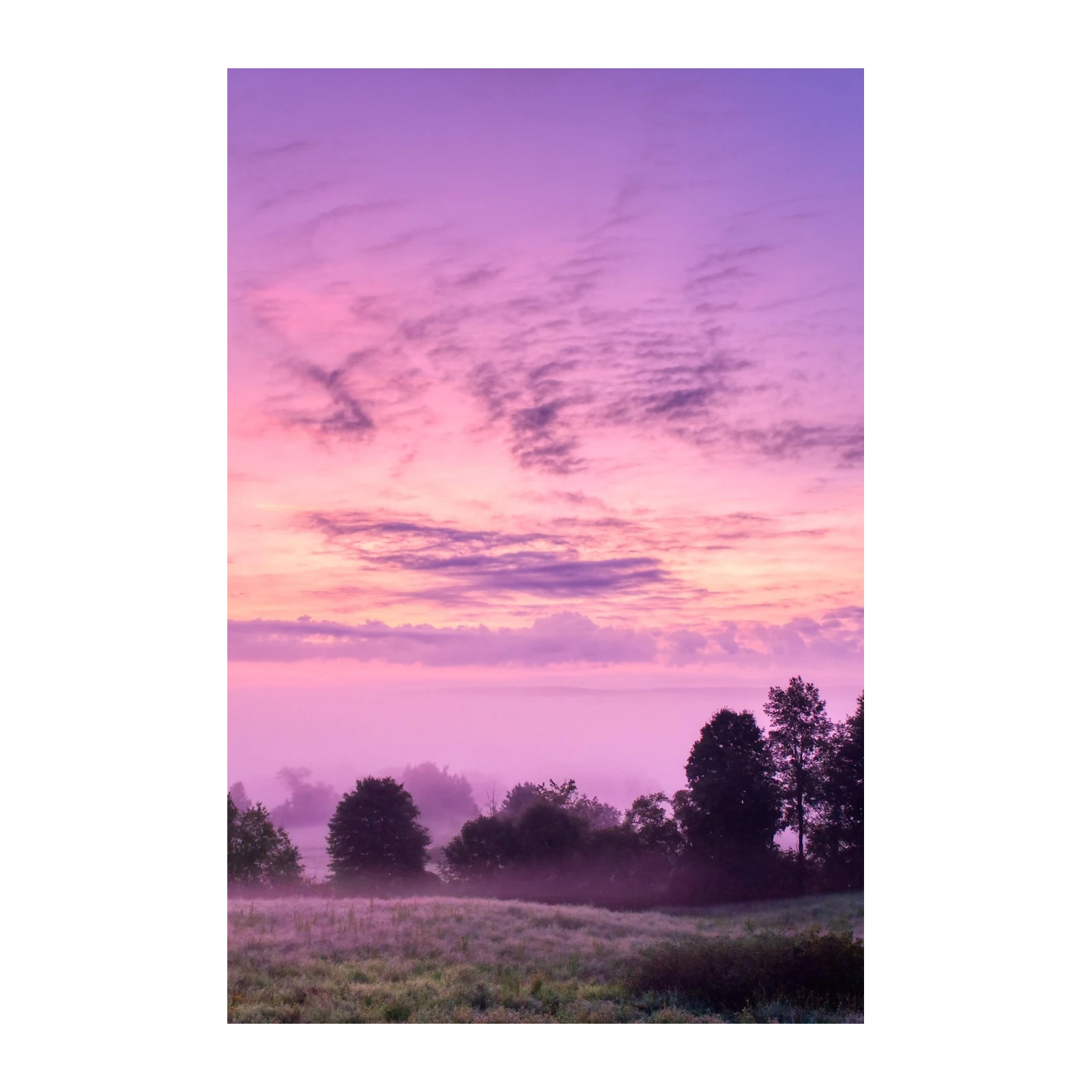 Dreamy Lavender Sunrise Meadow Wall Art
