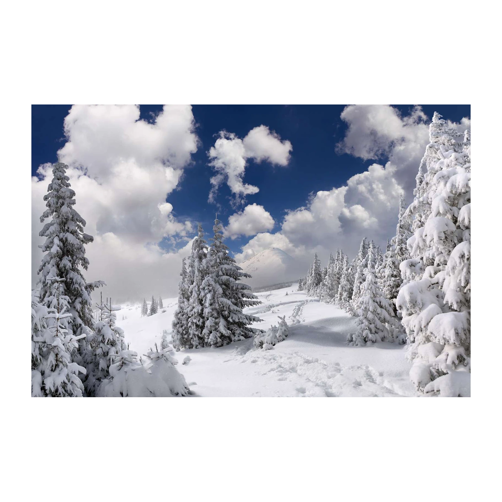 Winter Wonderland Snow Forest Wall Art