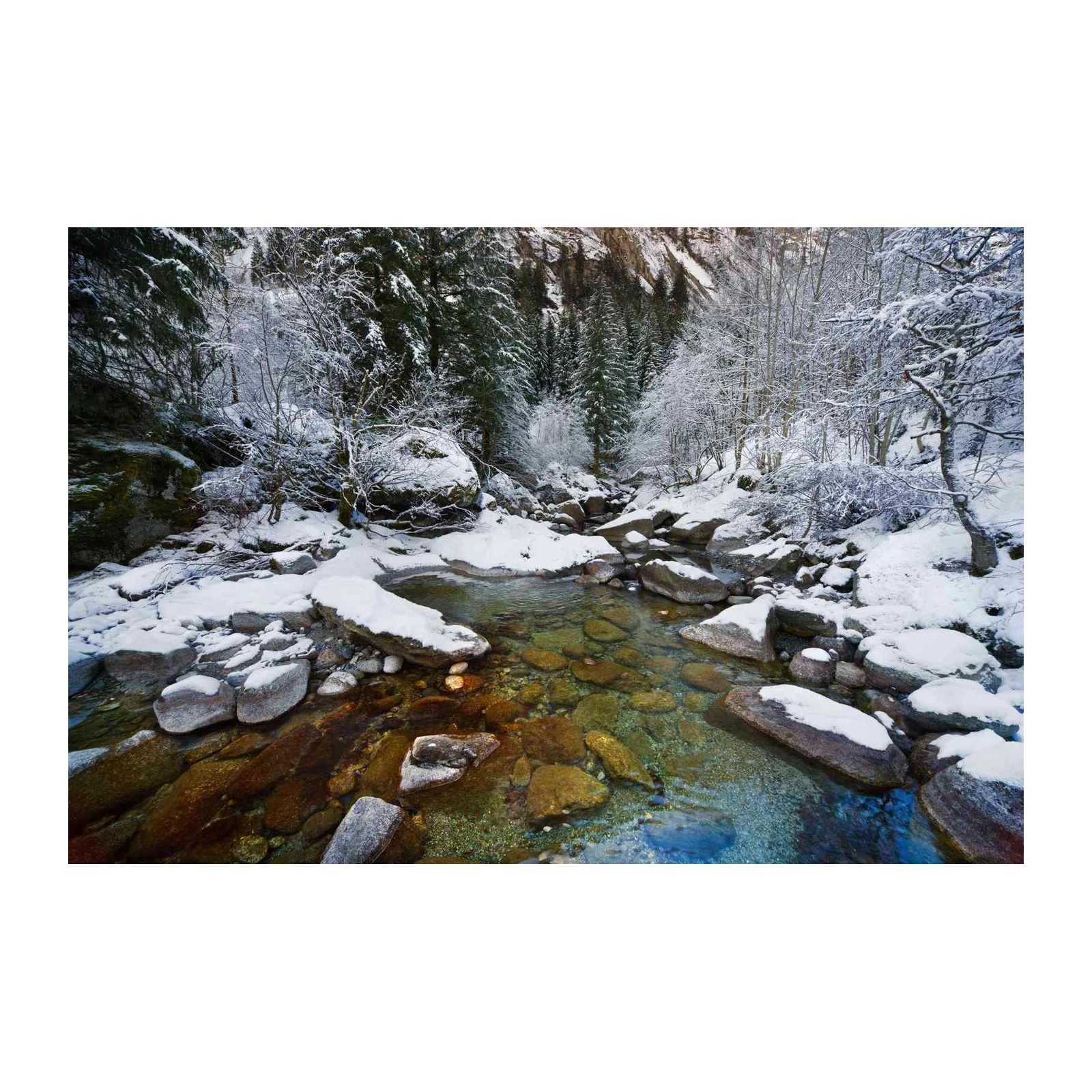 Tranquil Winter Forest Stream Wall Art