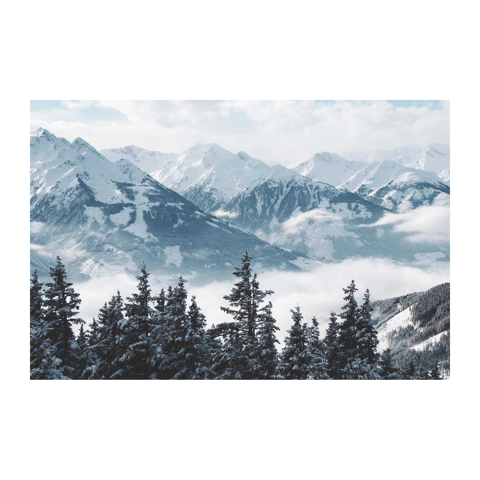 Serene Winter Mountain Forest Wall Art