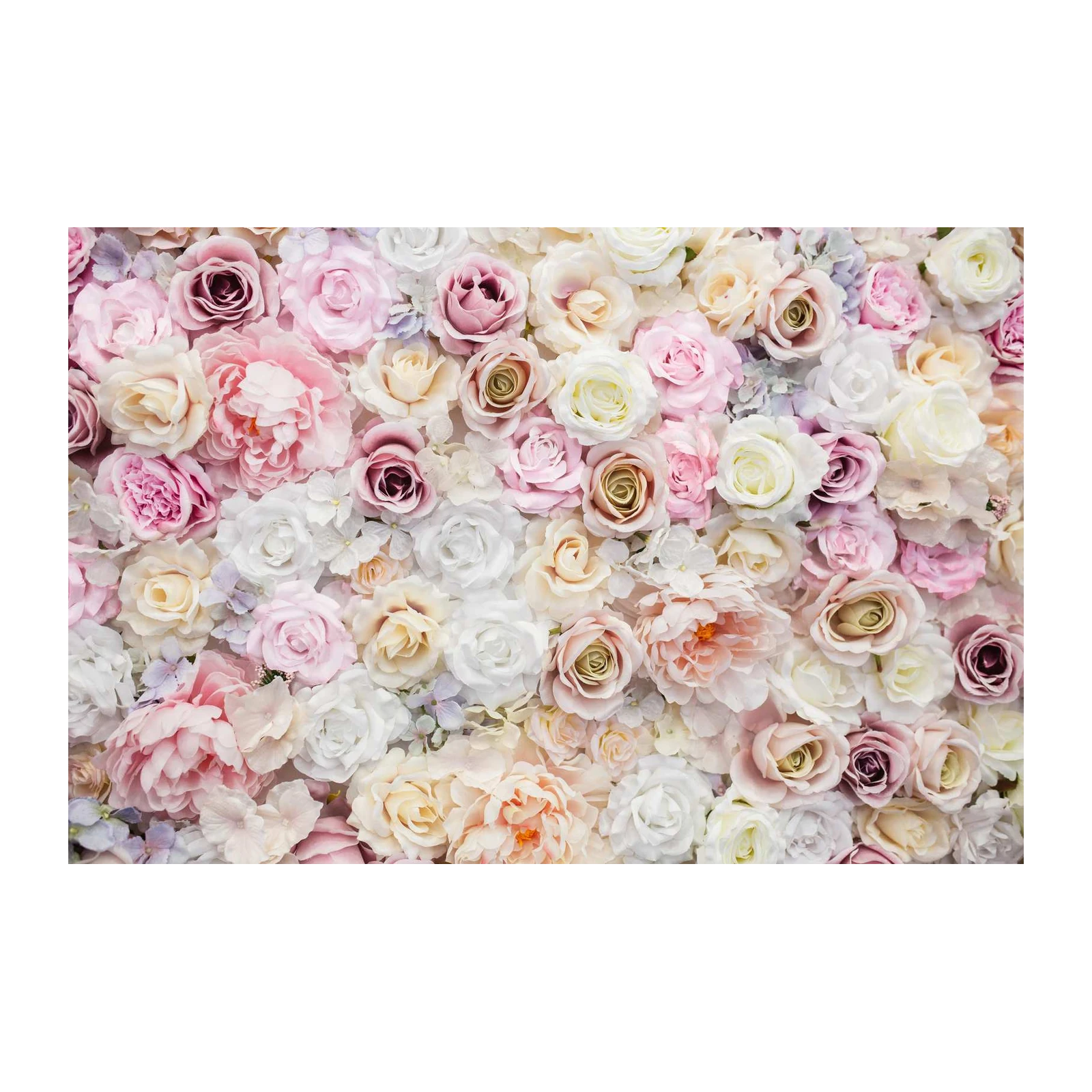 Romantic Blush Rose Garden Wall Art