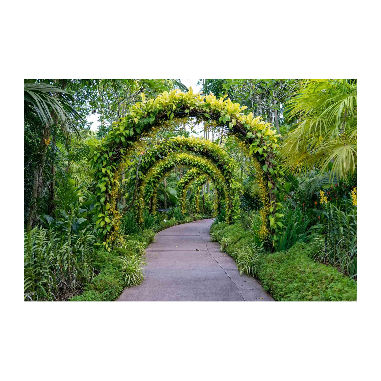 Enchanting Garden Archway Nature Wall Art