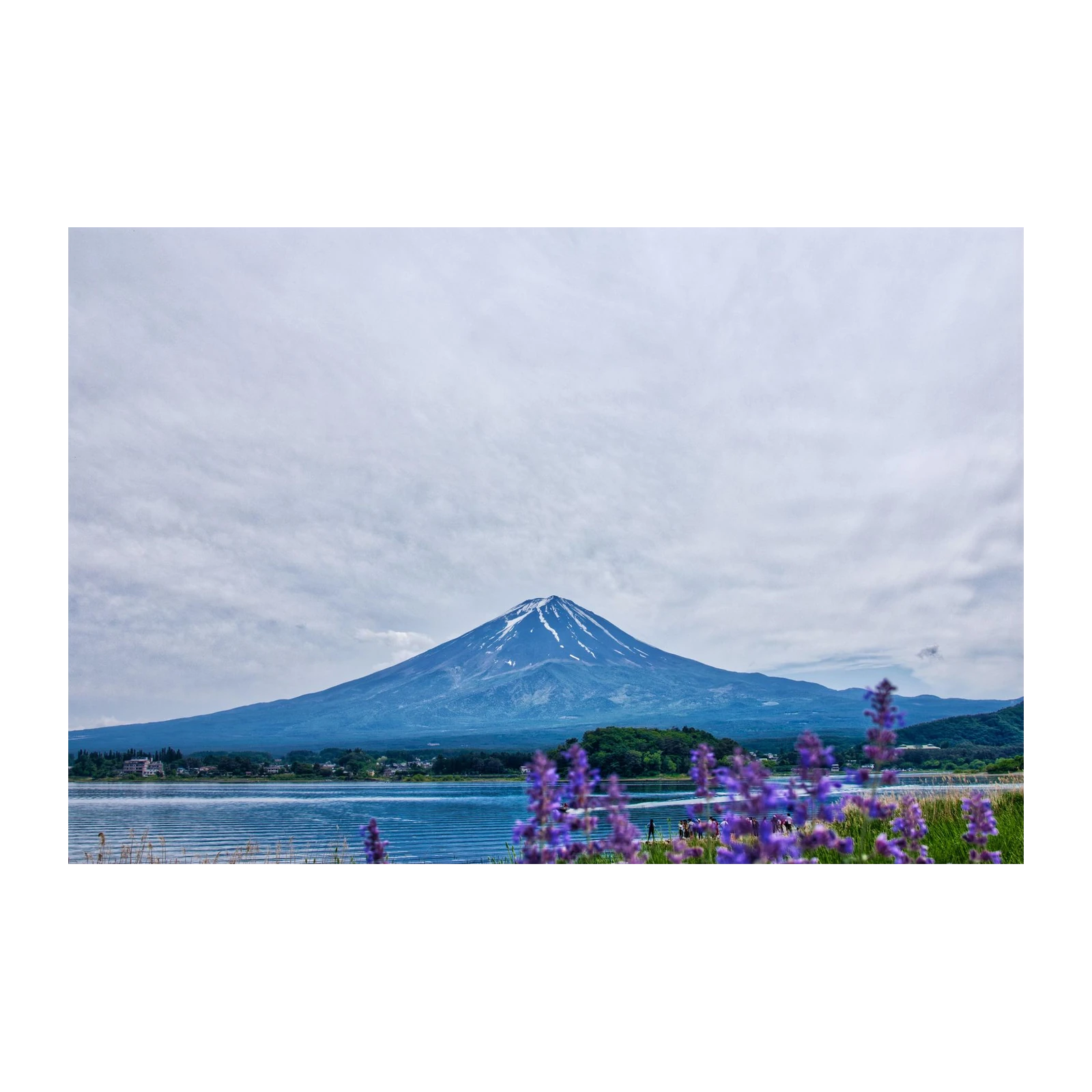 Majestic Fuji Serenity Landscape Wall Art
