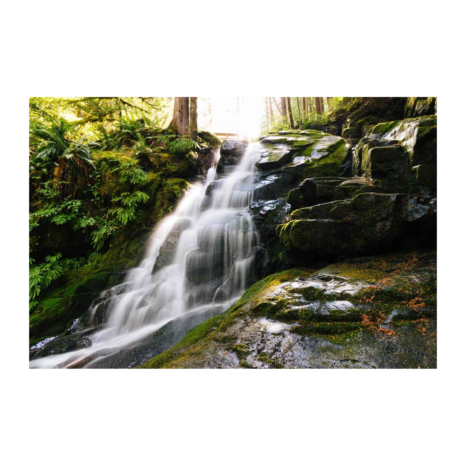 Tranquil Forest Waterfall Serenity Wall Art