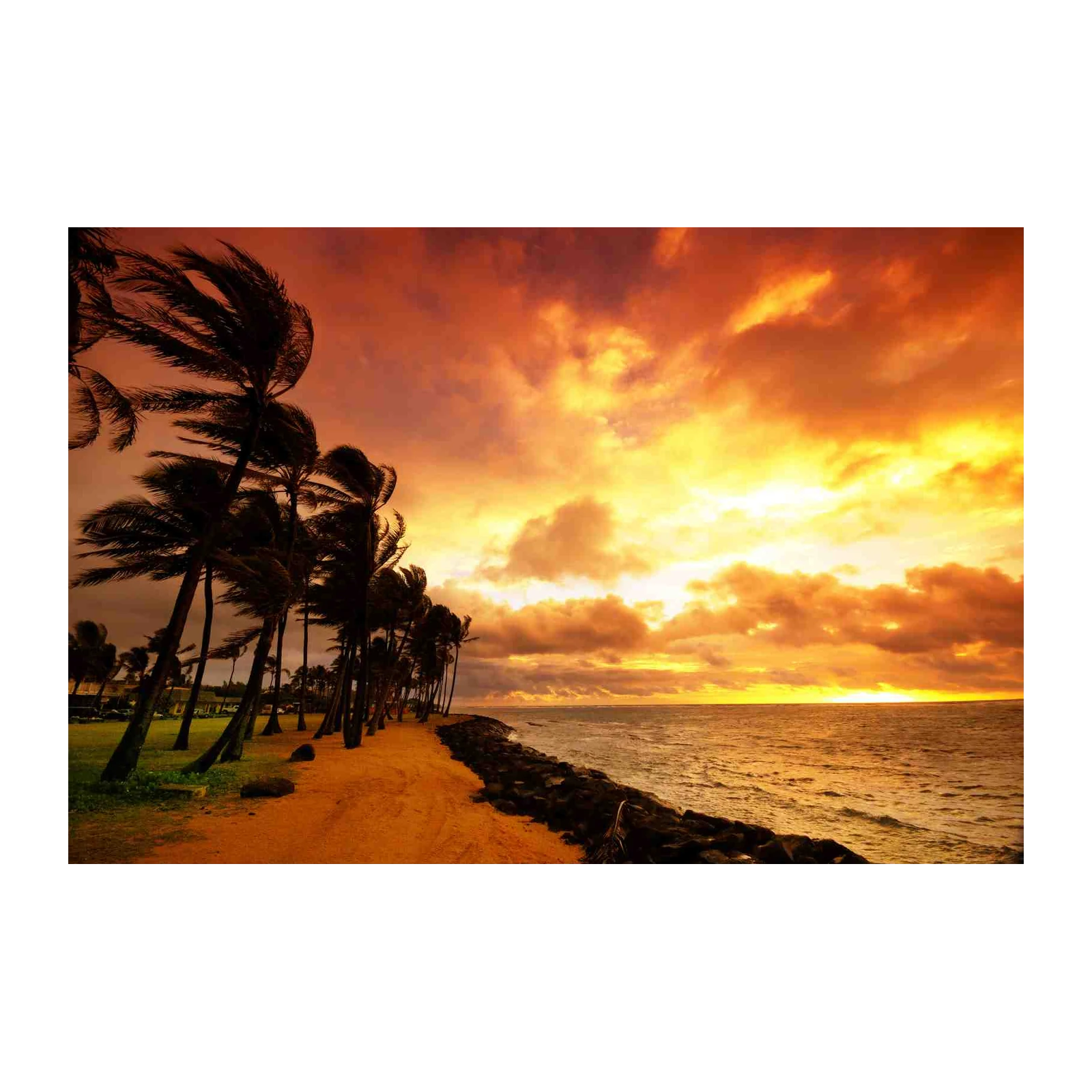 Tropical Sunset Palm Trees Wall Art