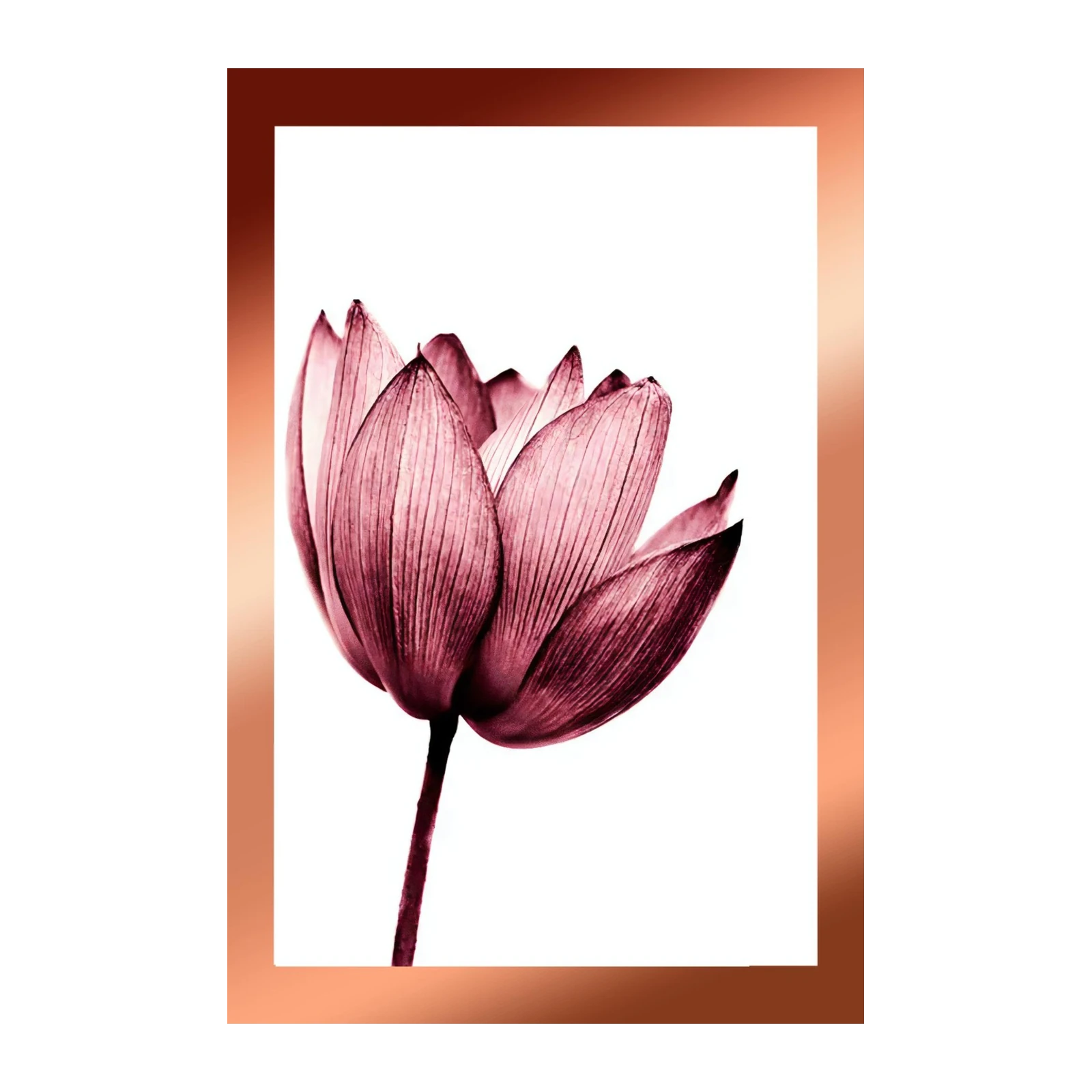 Elegant Pink Lotus Wall Art for Serene Spaces