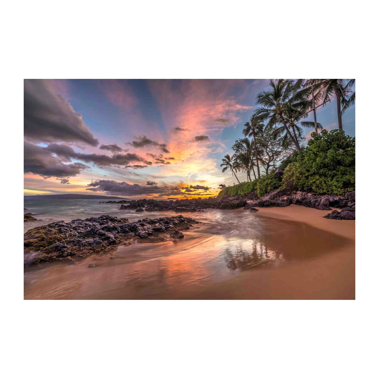 Tropical Maui Sunset Palm Beach Wall Art