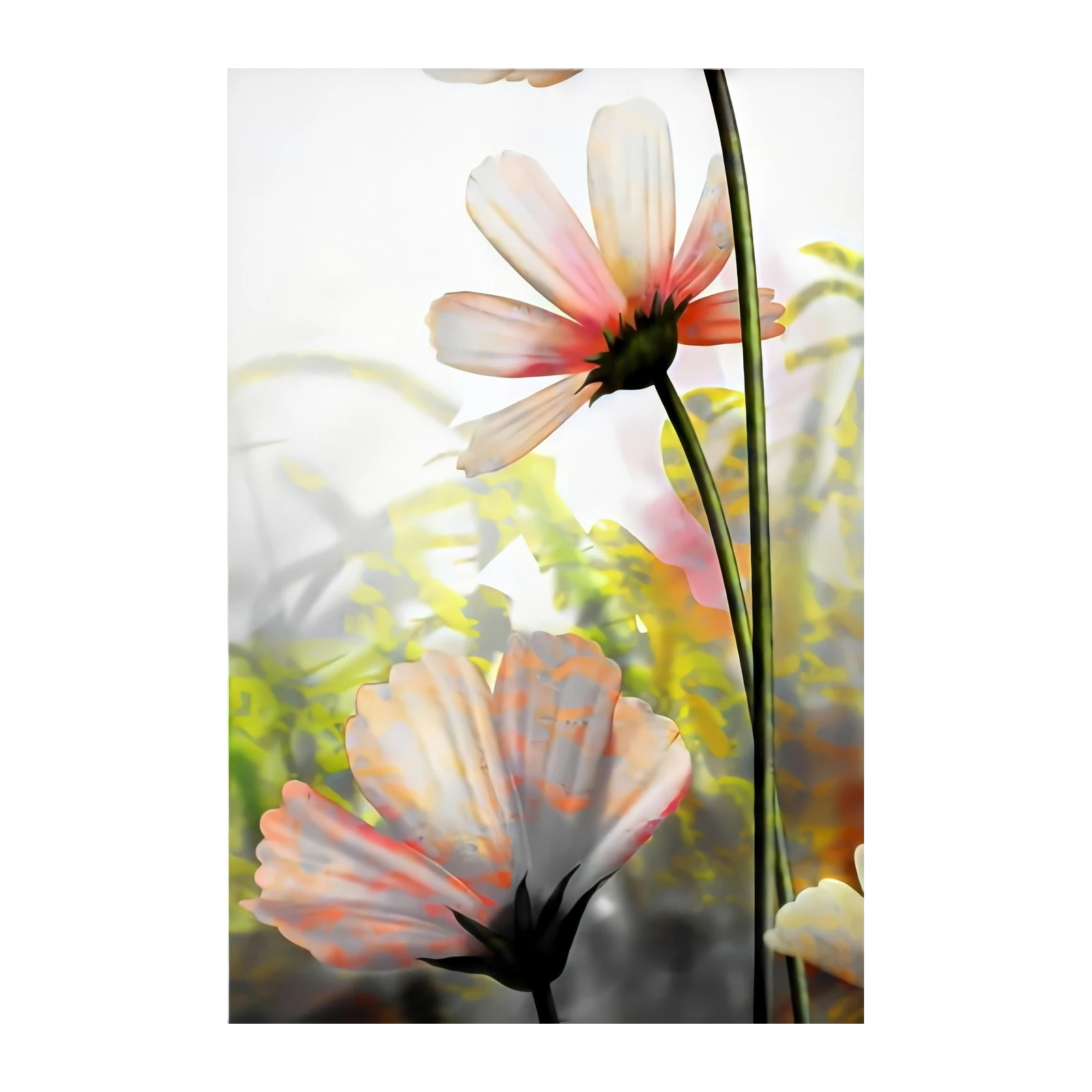 Soft Petal Bloom Floral Wall Art