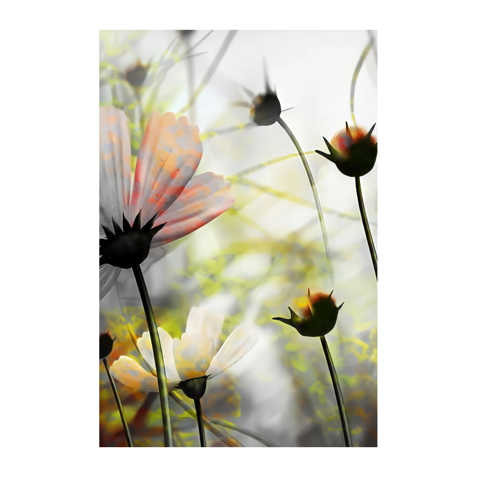 Abstract Floral Dreams Wall Art