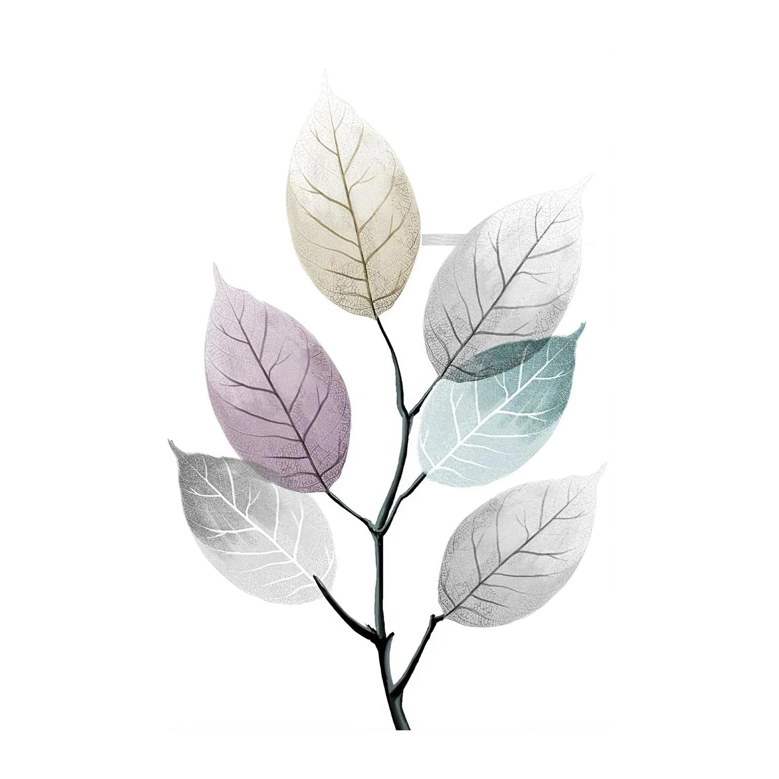 Elegant Botanical Skeleton Leaves Wall Art