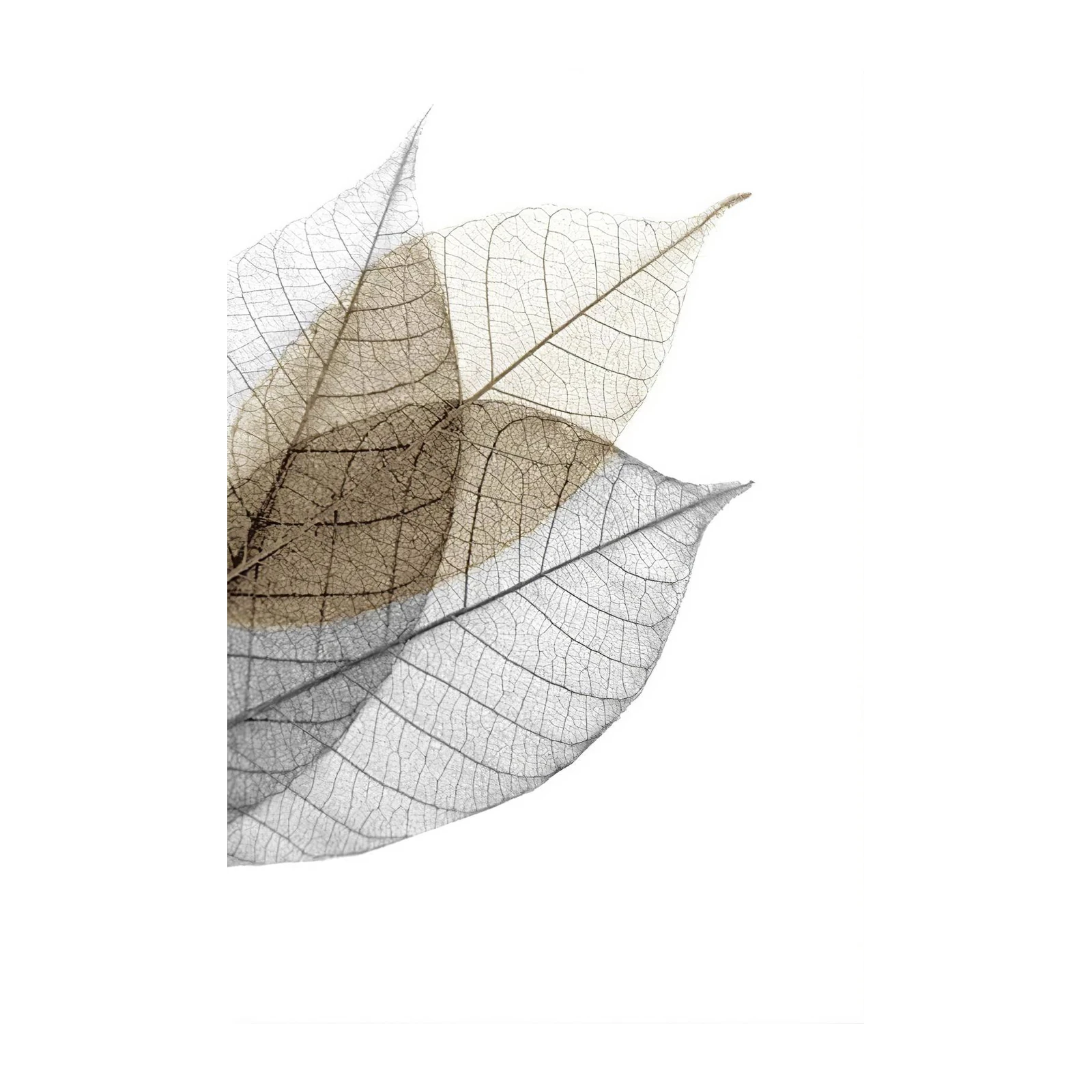 Nature's Skeleton Gold & Grey Leaves Wall Art