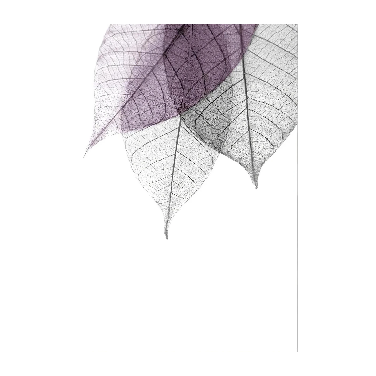 Delicate Skeleton Leaves Floral Wall Art