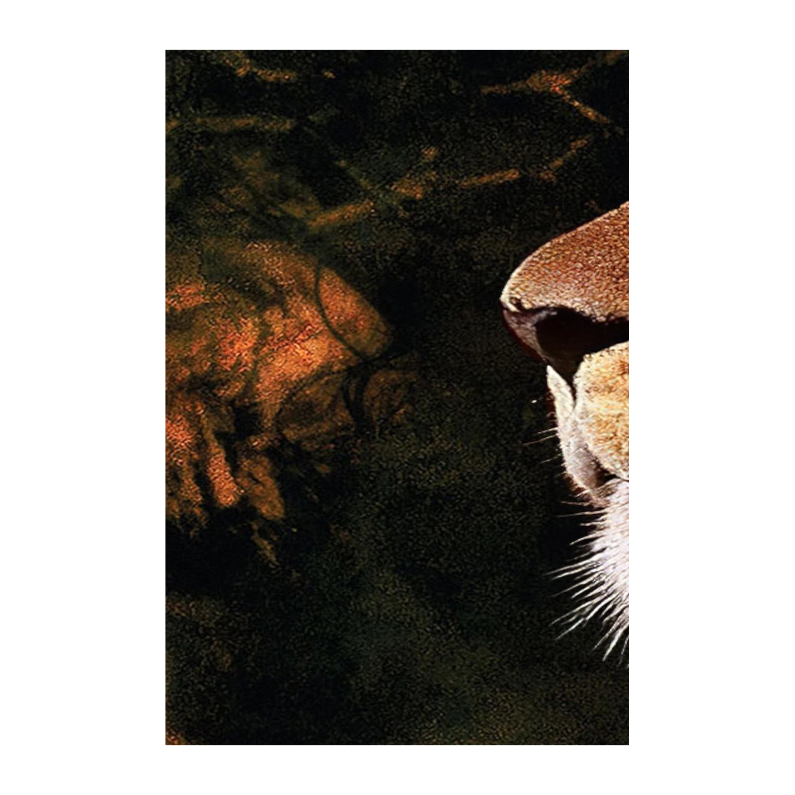 Majestic Lion Face Close-up Wall Art