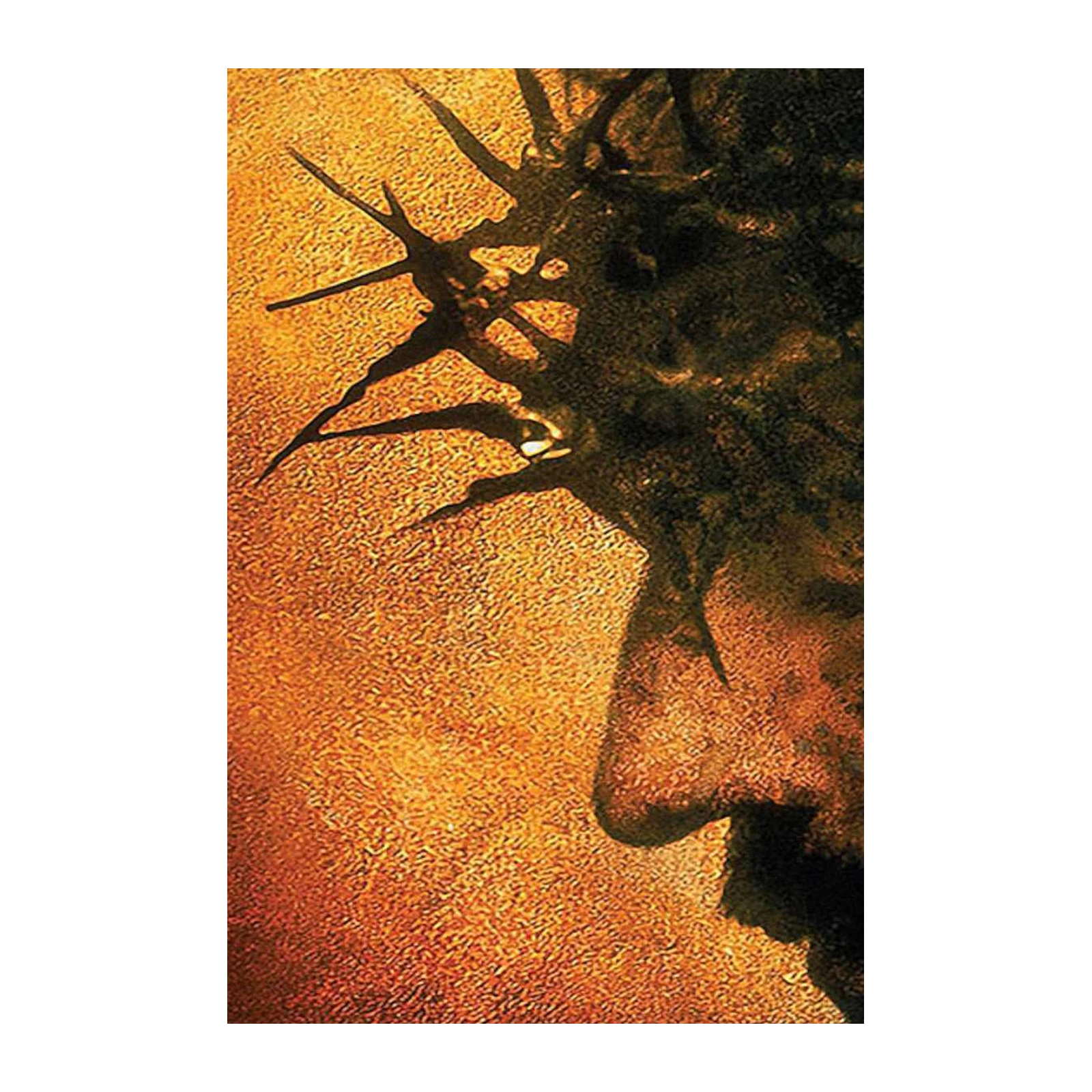 Jesus Crown of Thorns Religious Wall Art