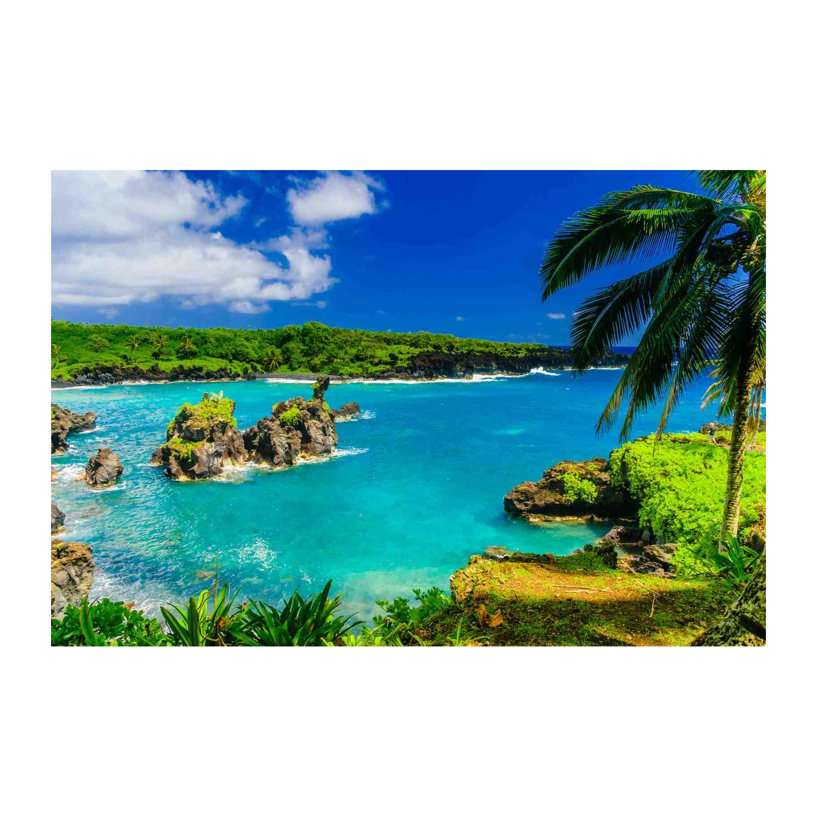 Tropical Paradise Ocean Black Sand Beach Wall Art