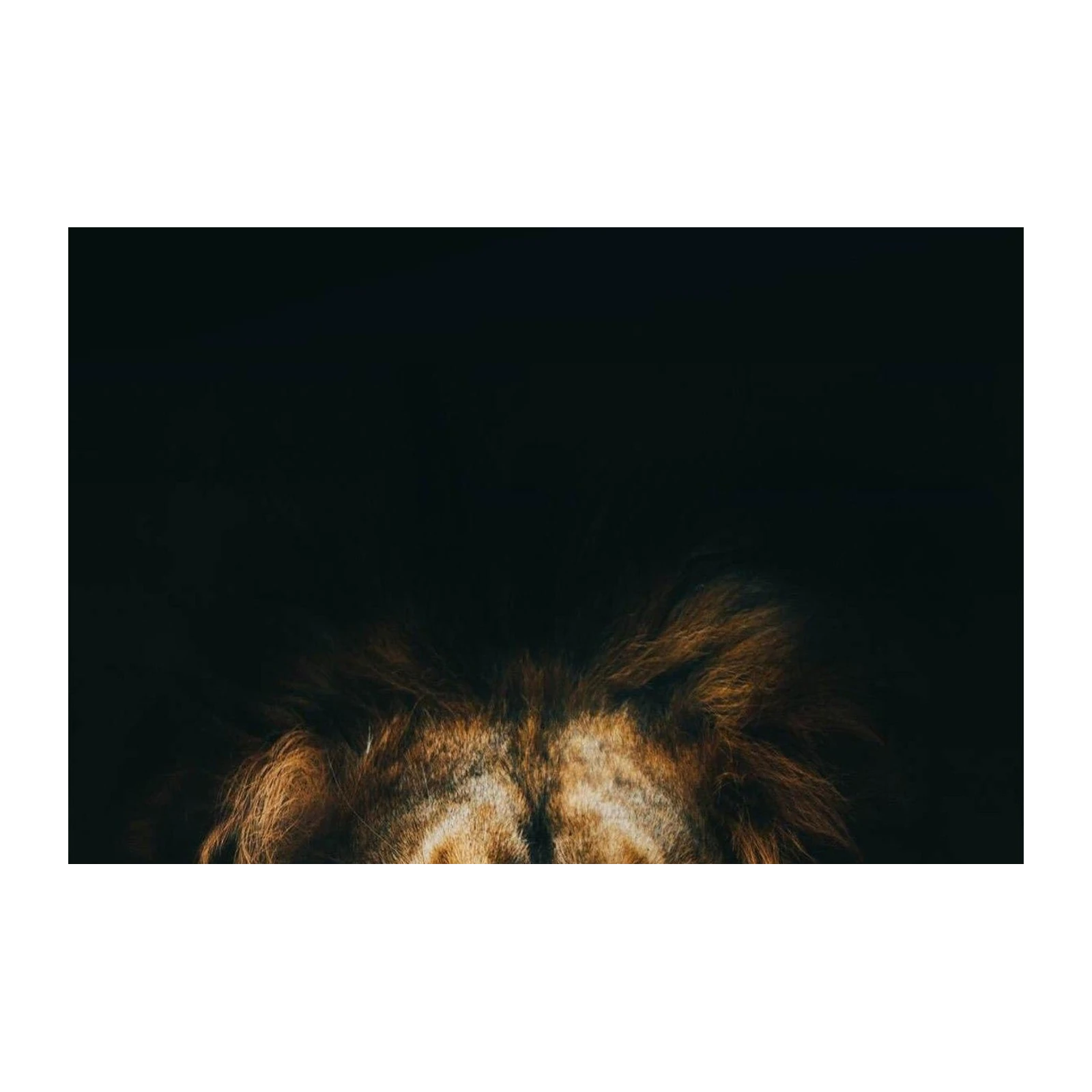 Majestic Lion Portrait Wall Art