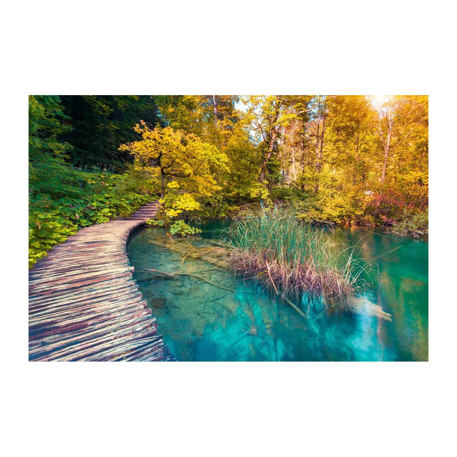 Serene Forest Lake Pathway Wall Art