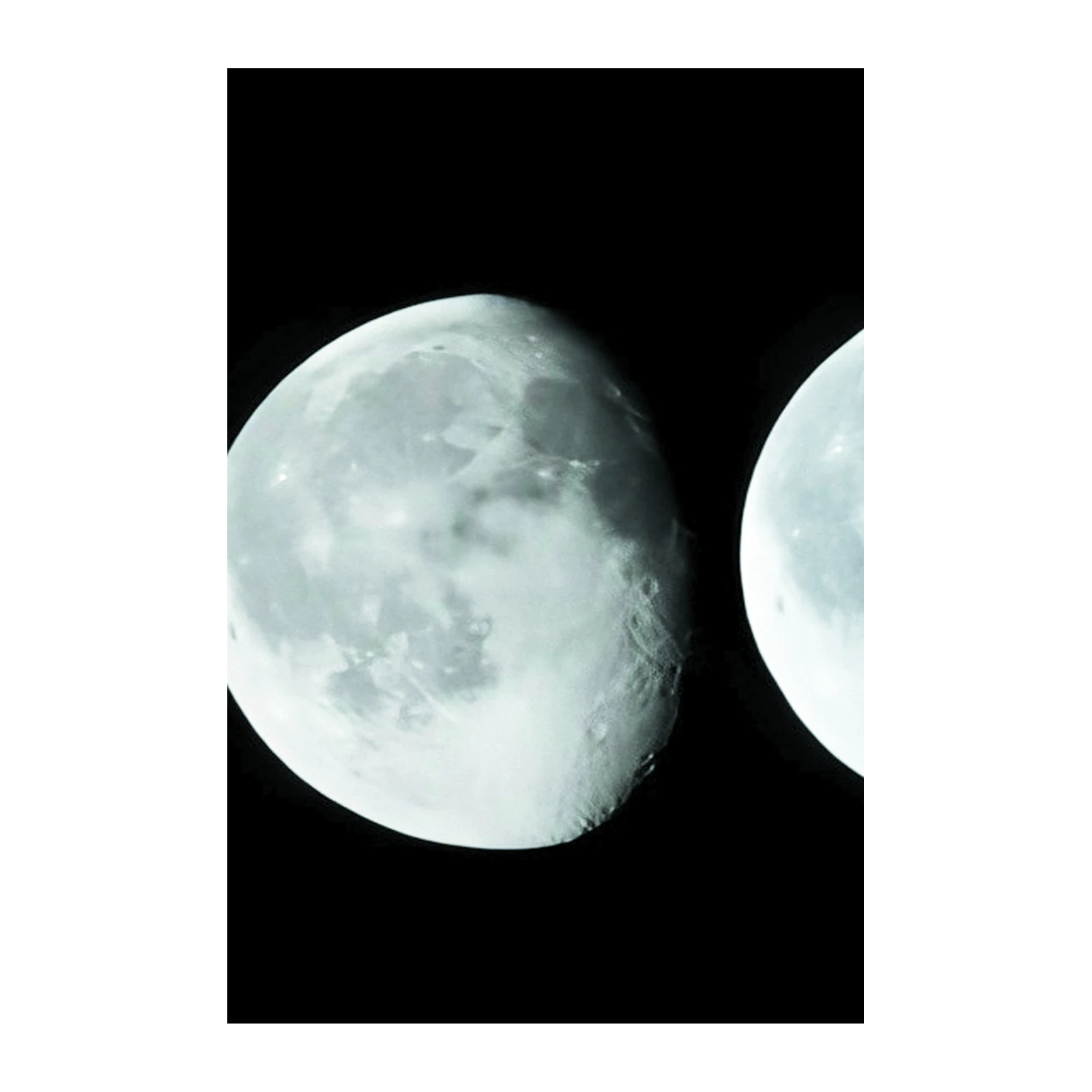 Celestial Moon Phases Wall Art Art