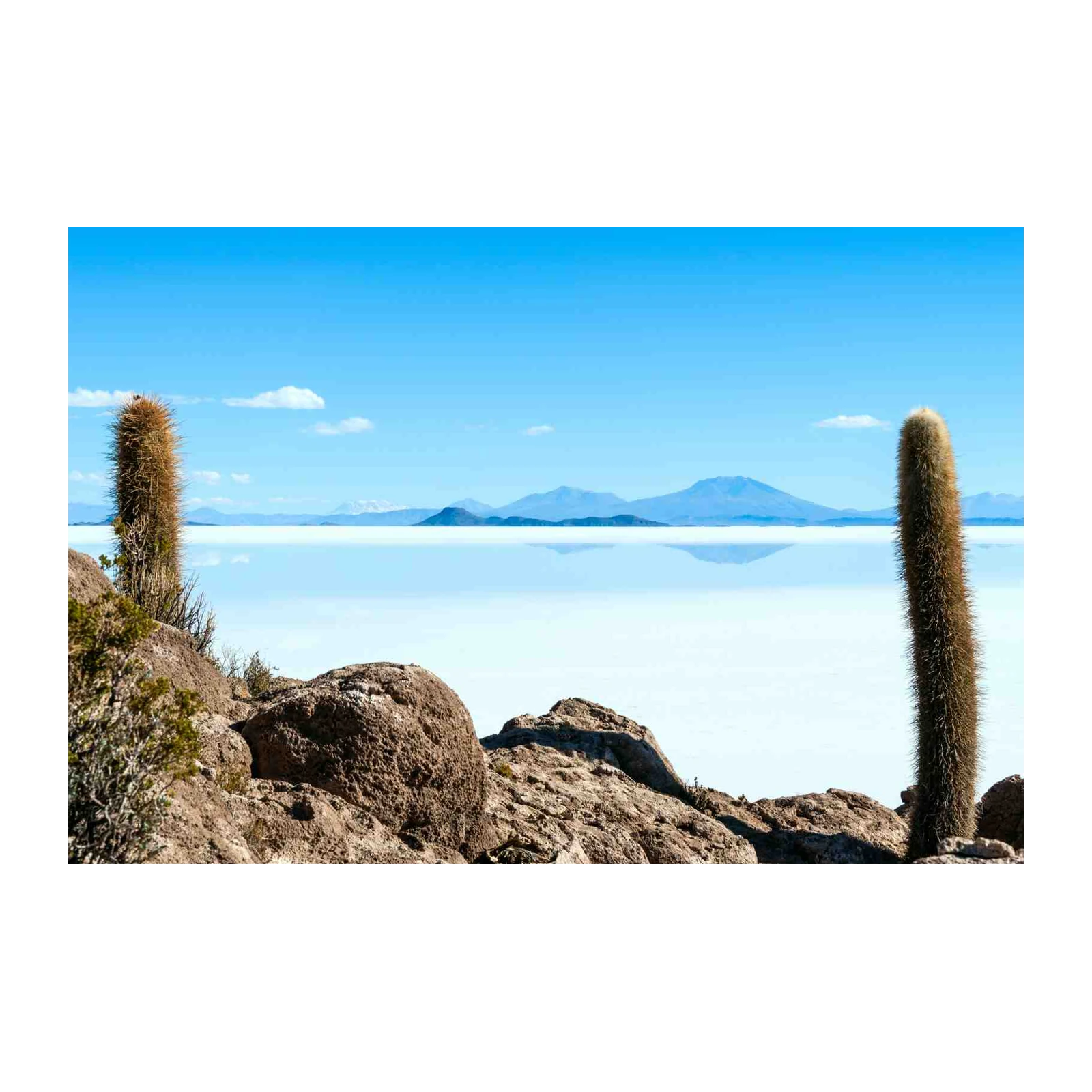 Salar de Uyuni Cactus Landscape Wall Art