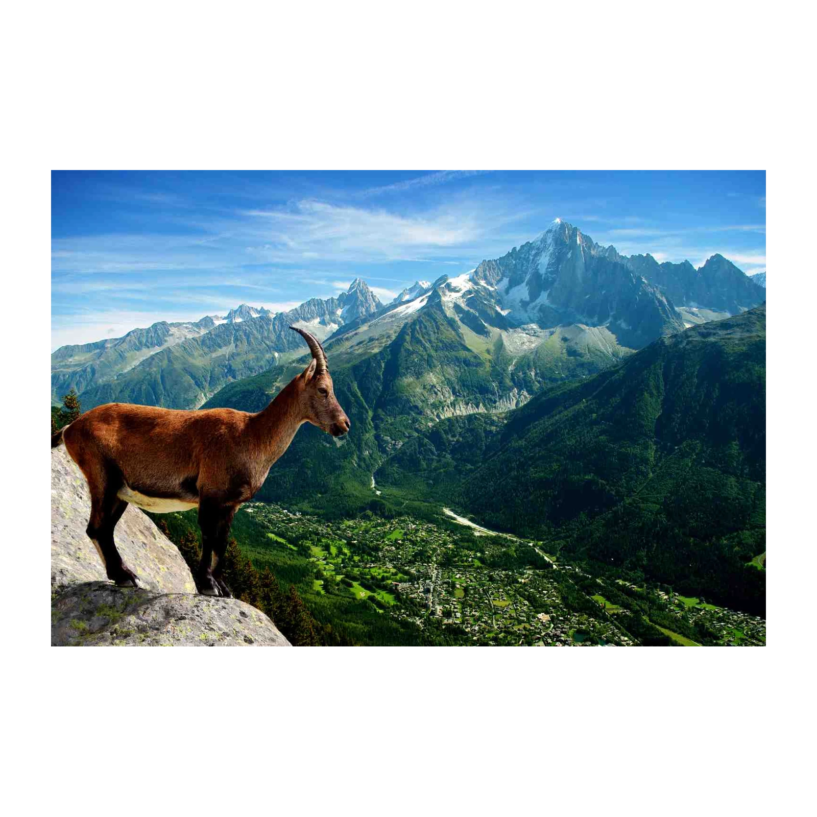 Majestic Alpine Ibex Mountain Landscape Wall Art