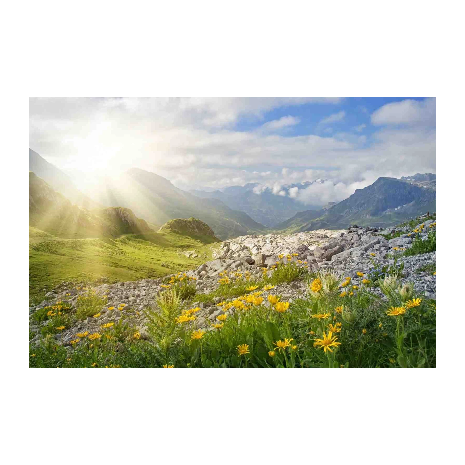 Serene Alpine Meadow & Sunbeams Wall Art
