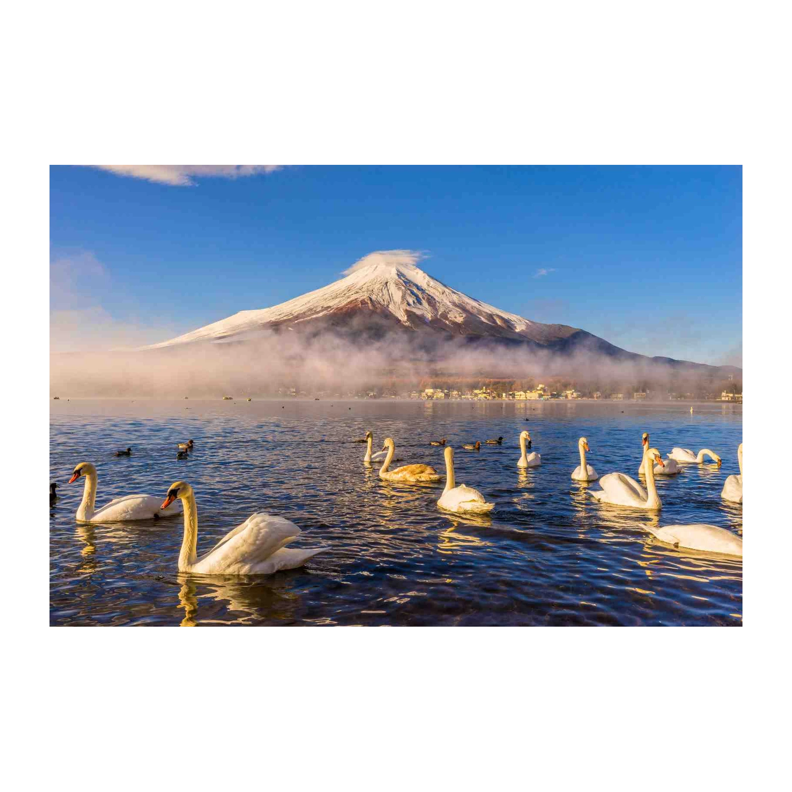 Majestic Swans & Fuji Sunrise Wall Art