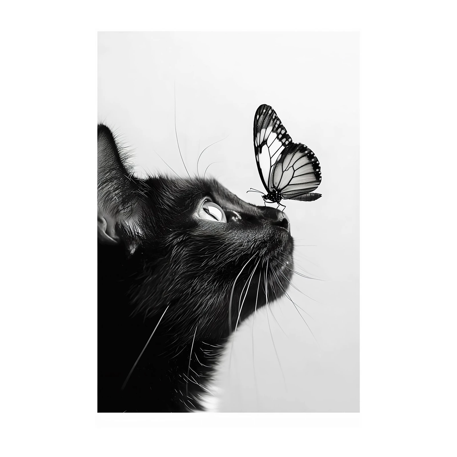 Enchanting Black Cat & Butterfly Wall Art