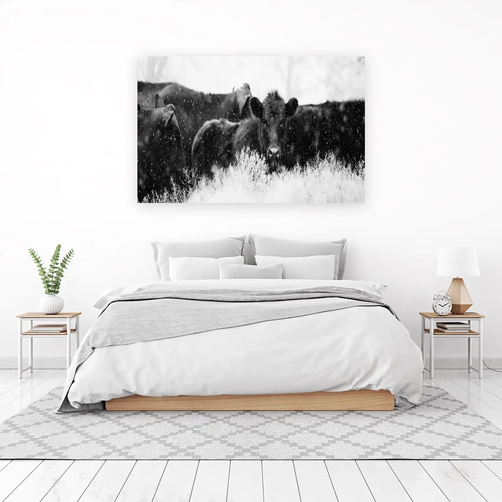 Majestic Cattle Snowfall Black & White Wall Art