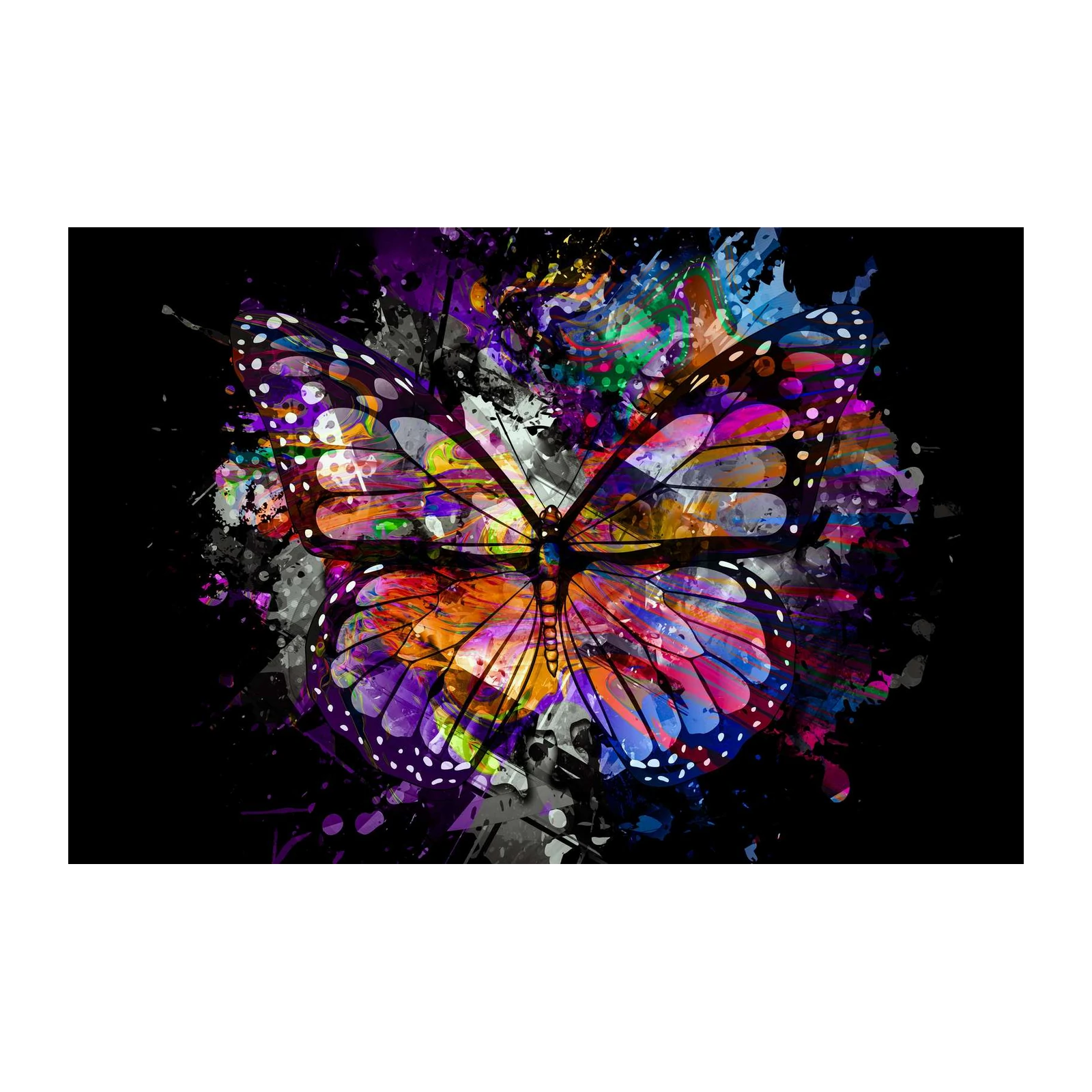 Vibrant Butterfly Splash Art Wall Art