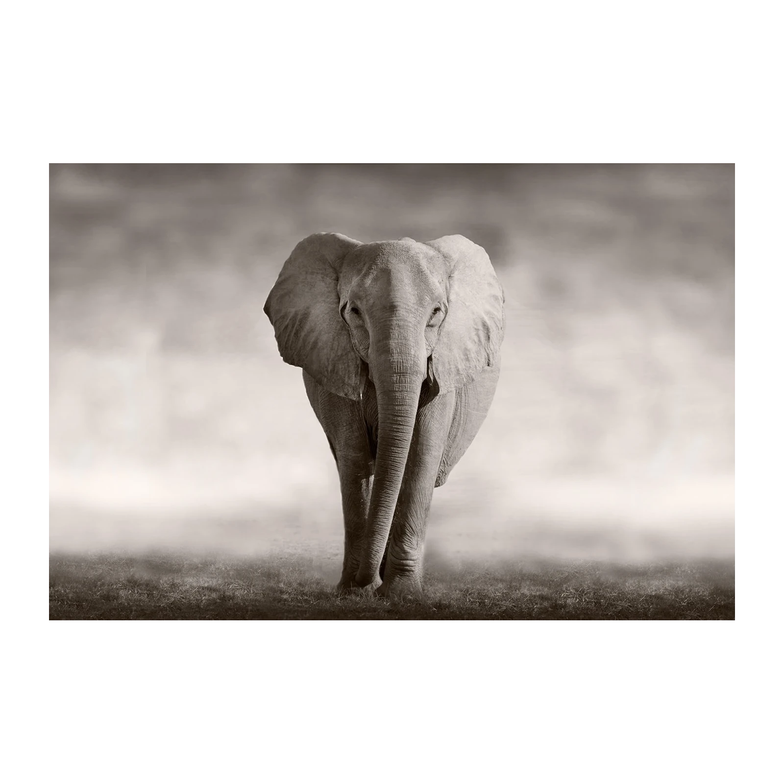 Majestic Elephant Serene Savannah Wall Art