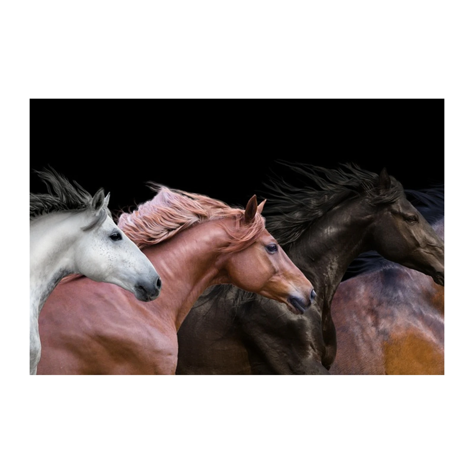 Majestic Running Horses Panorama Wall Art