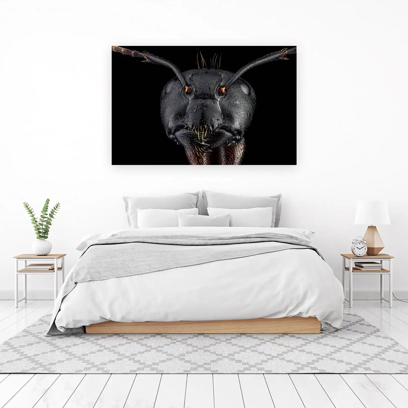 Macro Ant Portrait Wall Art - Insect Art