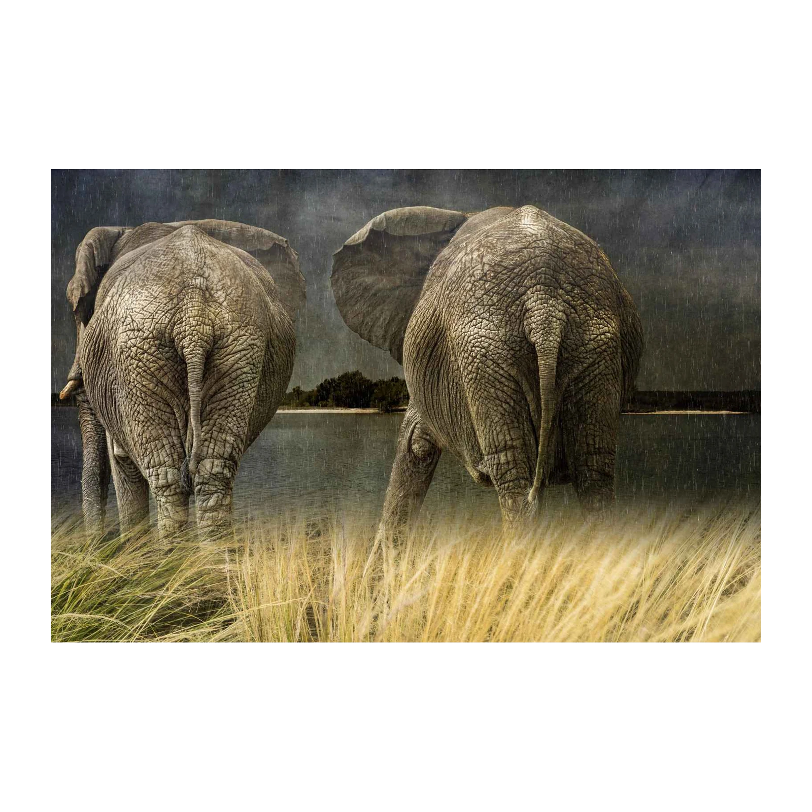 Majestic Elephants African Safari Wall Art