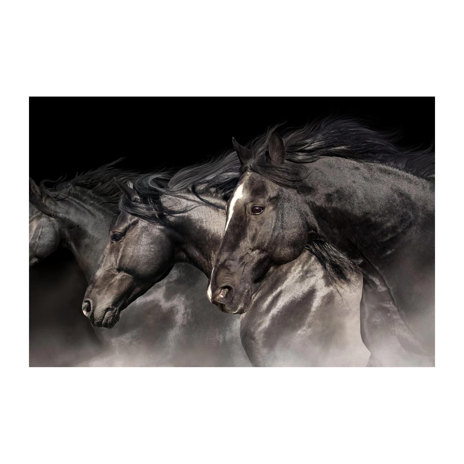 Majestic Black Horses Wall Art - Horse Wall Art