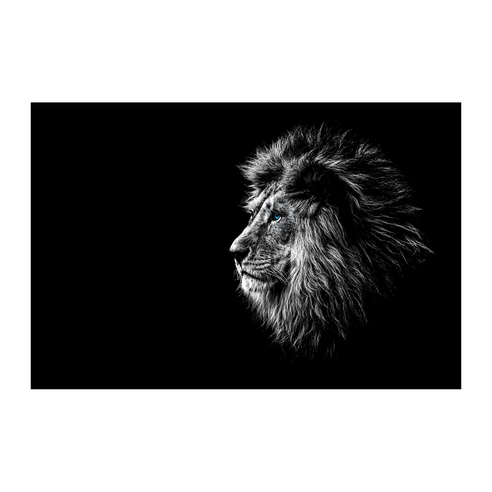 Majestic Lion Blue Eyes Black & White Wall Art