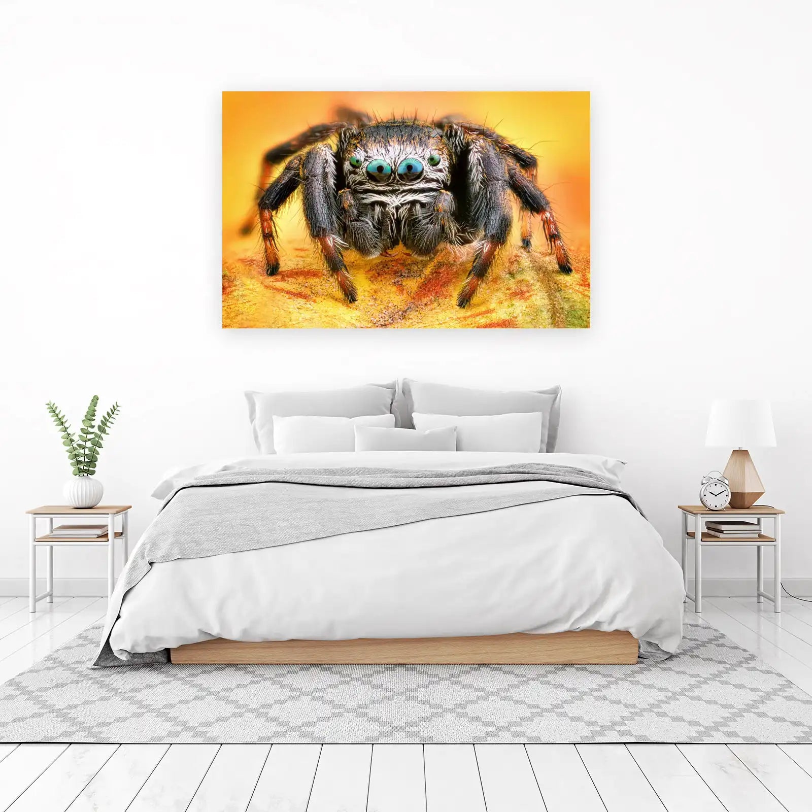 Striking Jumping Spider Macro Wall Art