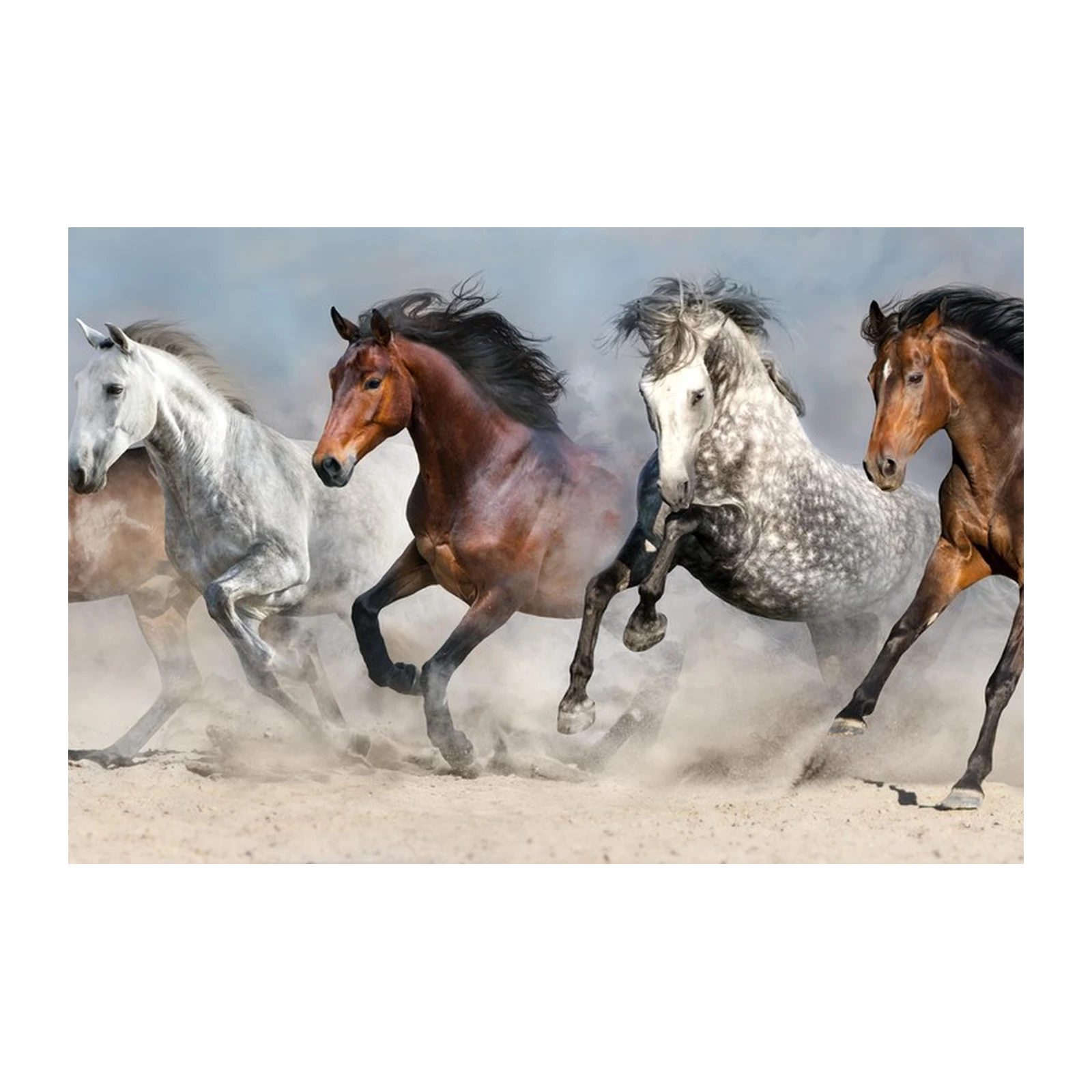 Majestic Running Horses Wall Art